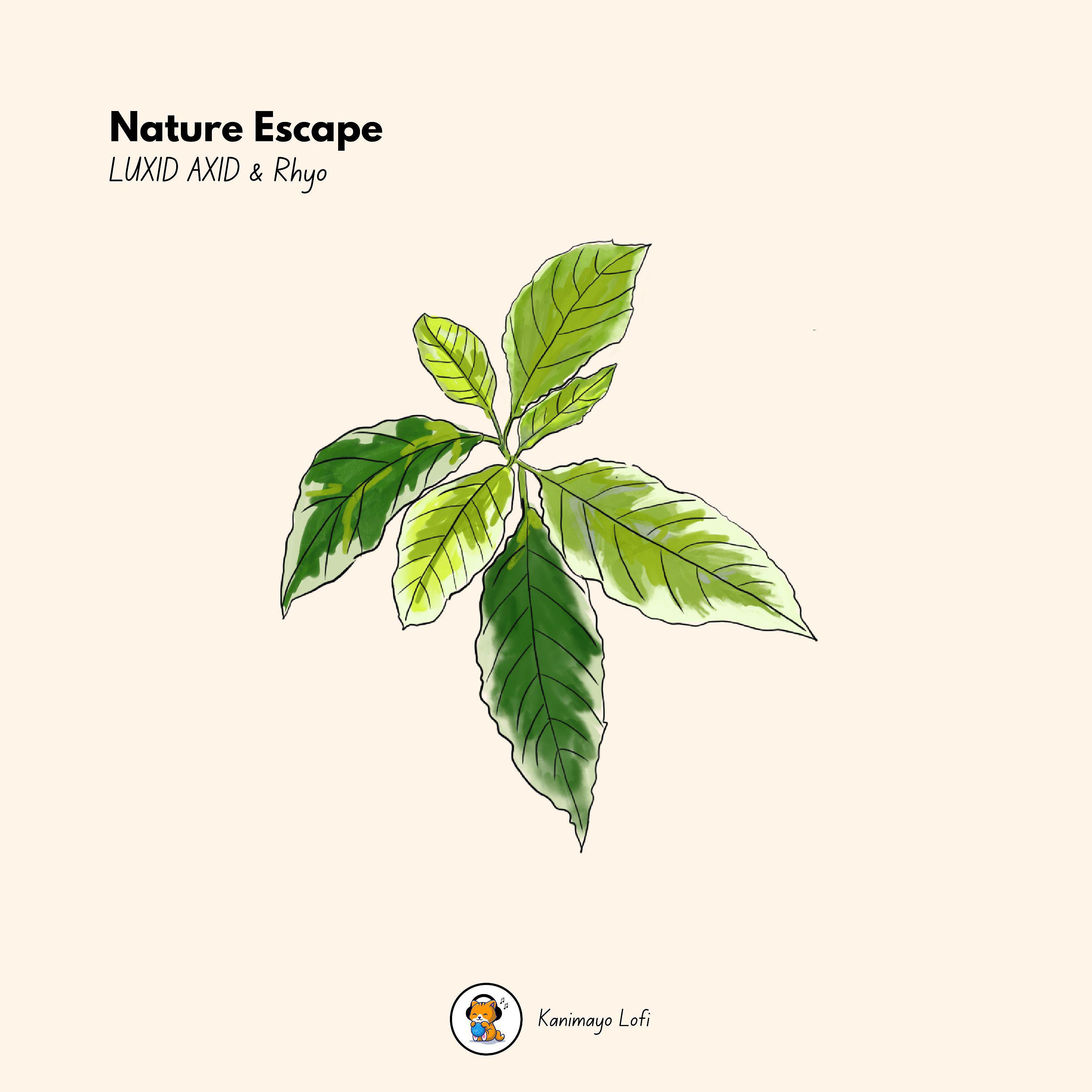 Постер альбома Nature Escape