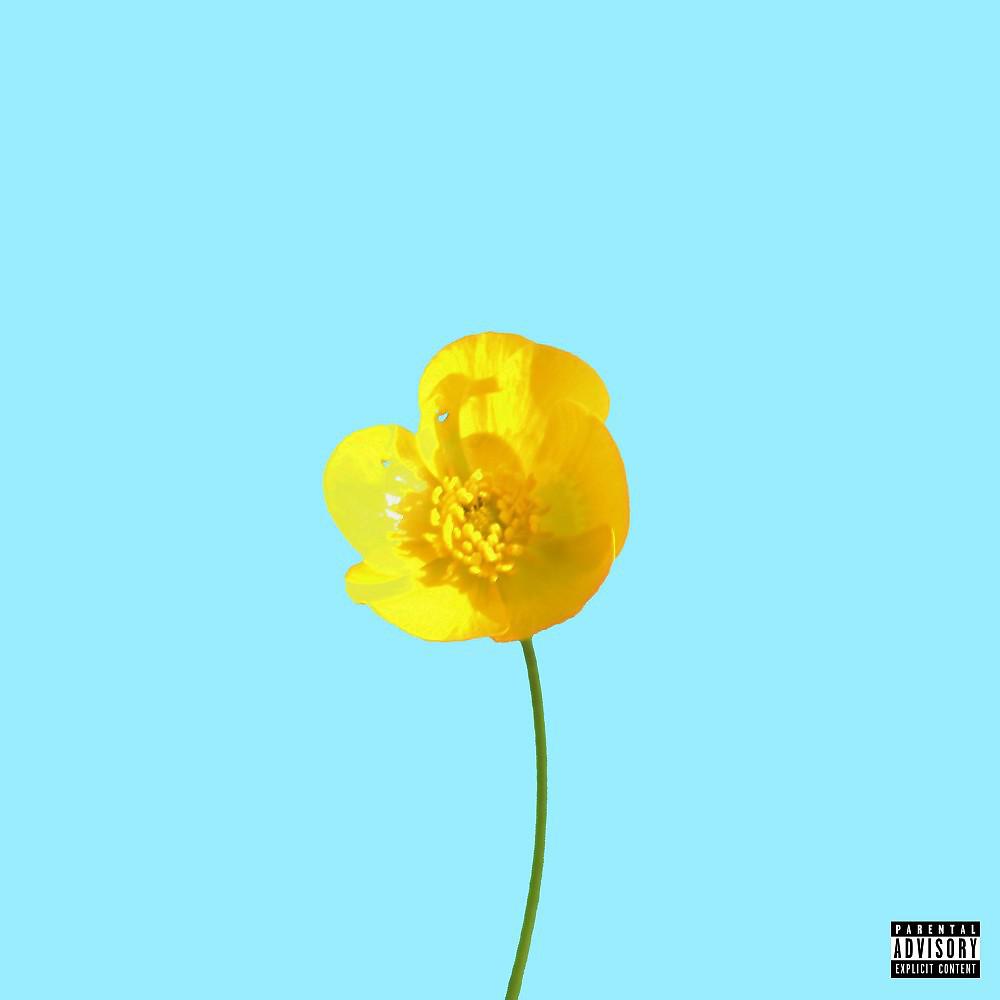 Постер альбома Fleur jaune