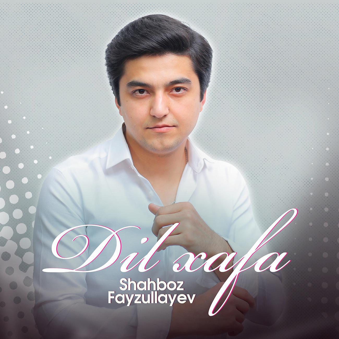 Постер альбома Dil xafa