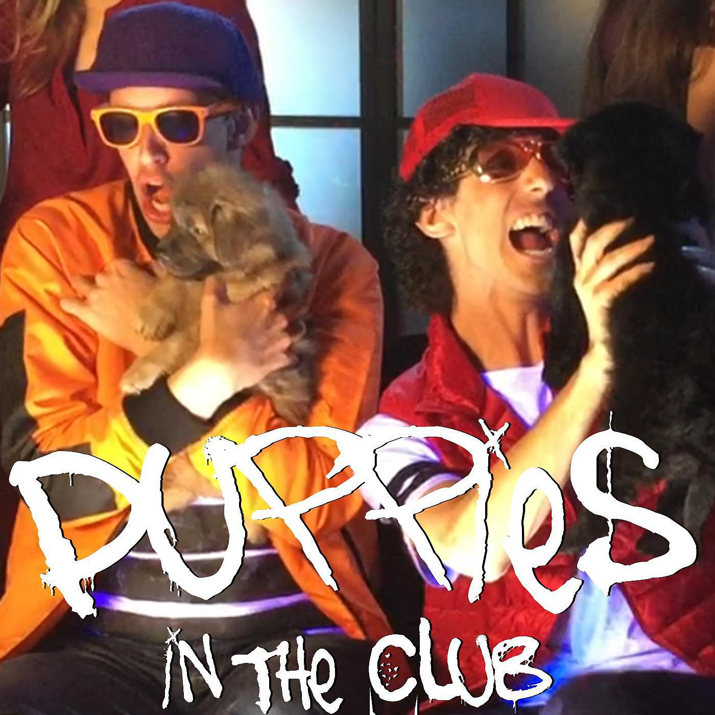 Постер альбома Puppies in the Club