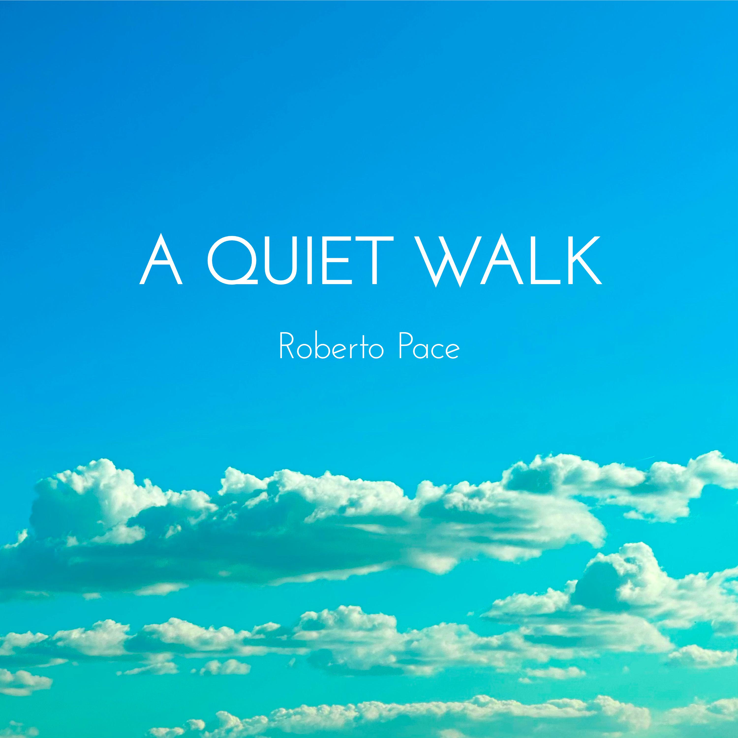 Постер альбома A Quiet Walk