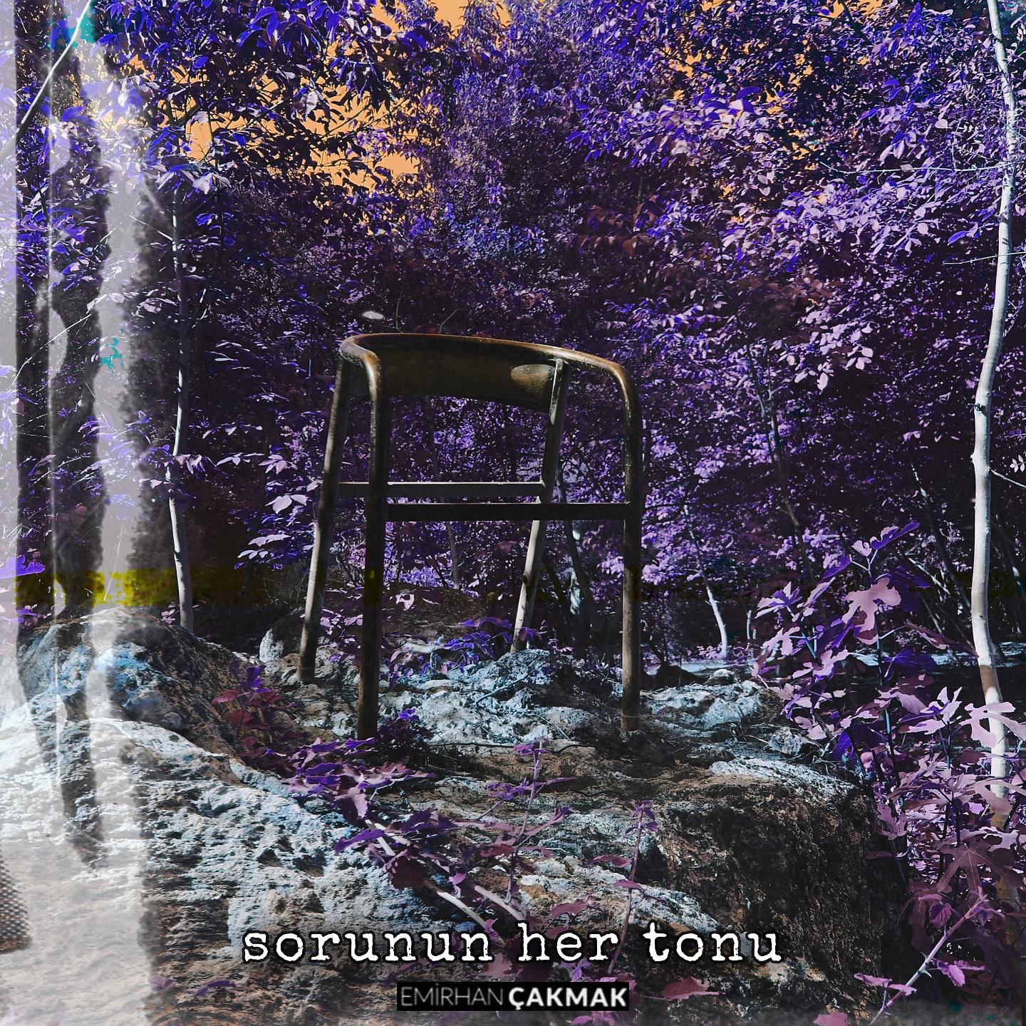 Постер альбома Sorunun Her Tonu