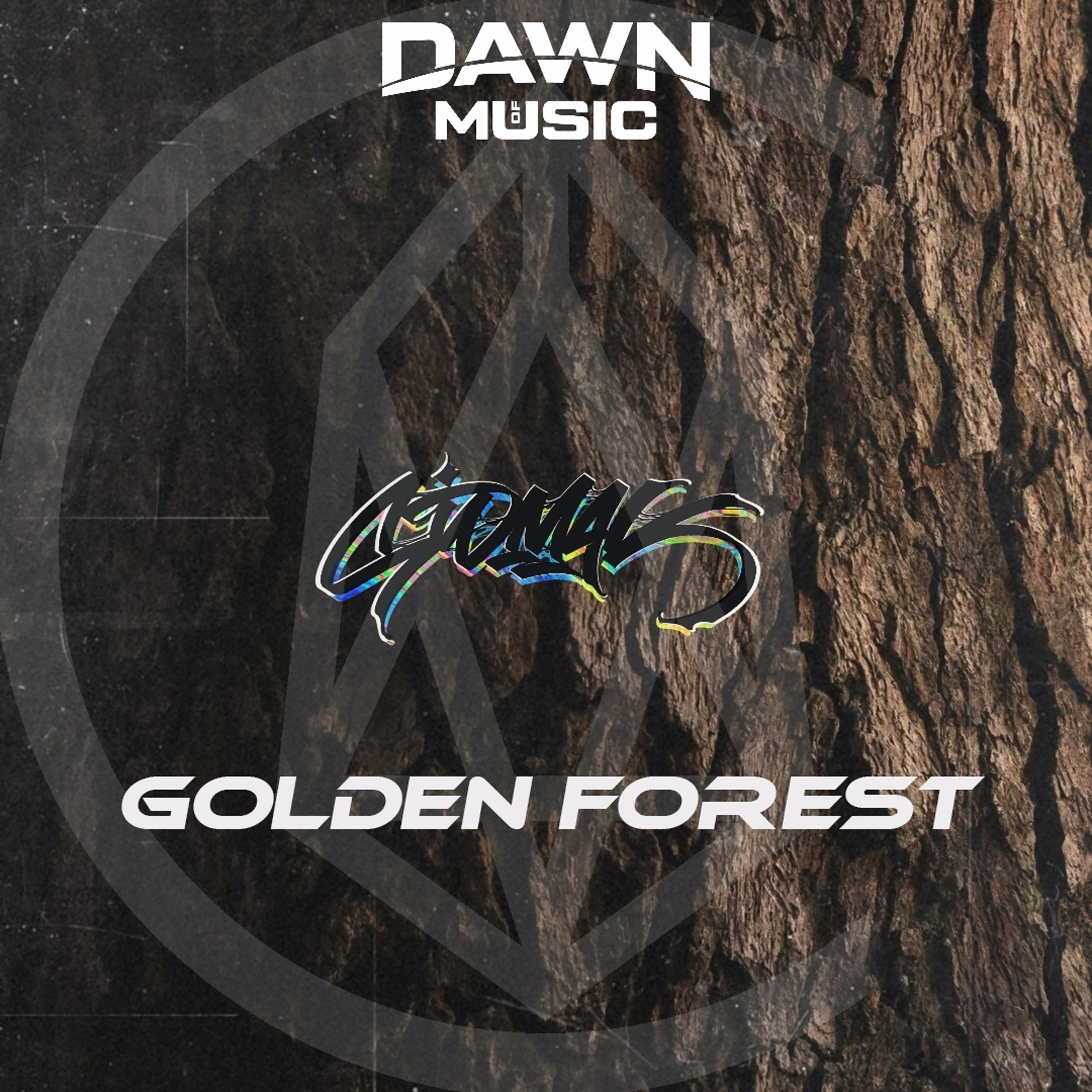 Постер альбома Golden Forest