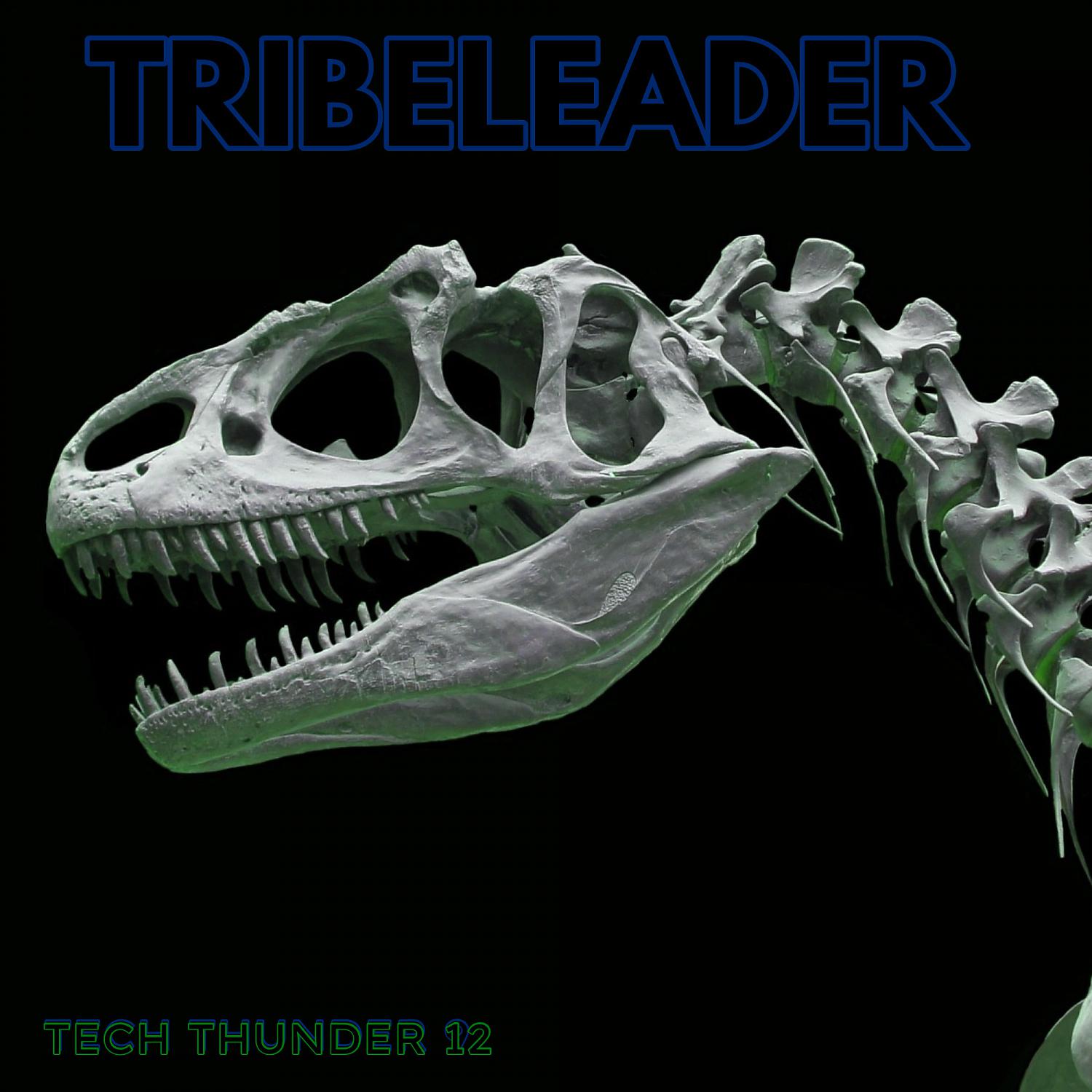 Постер альбома TECH THUNDER 12
