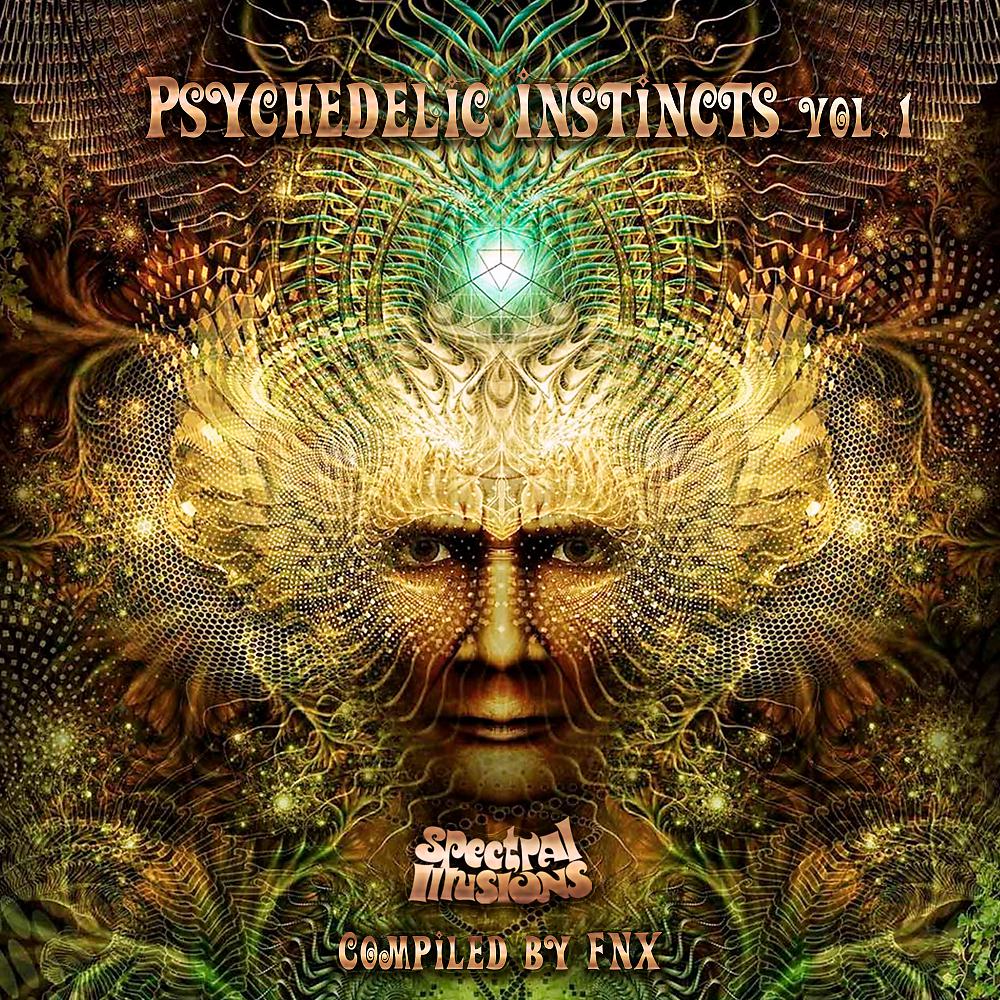 Постер альбома Psychedelic Instincts Vol.1