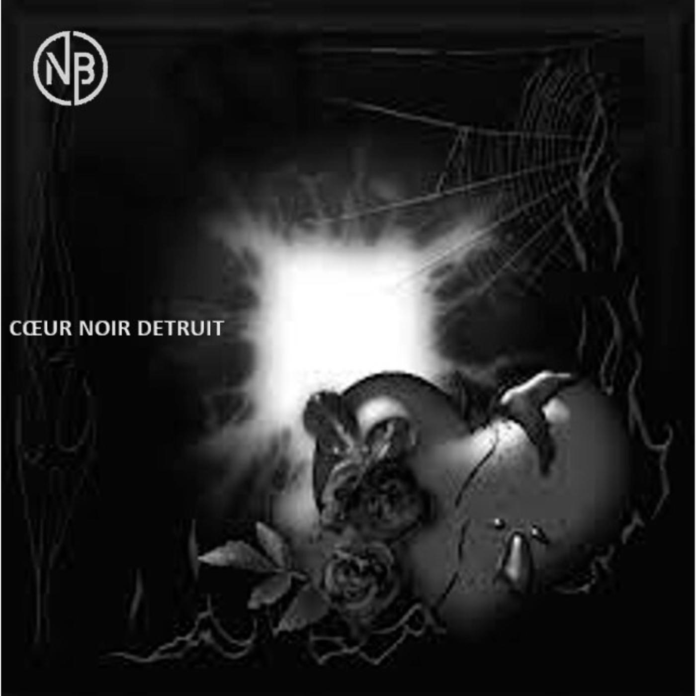 Постер альбома Cœur noir détruit
