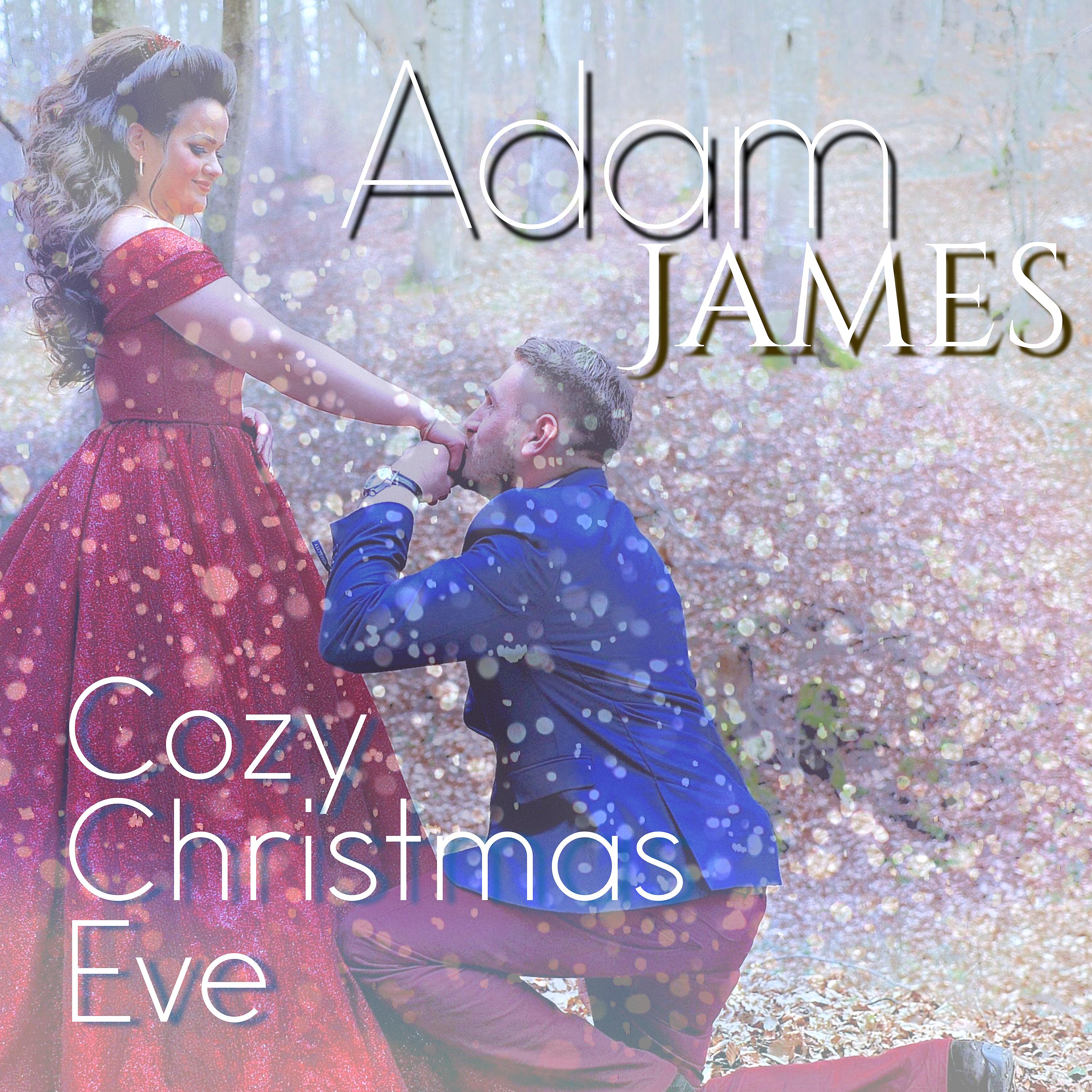 Постер альбома Cozy Christmas Eve