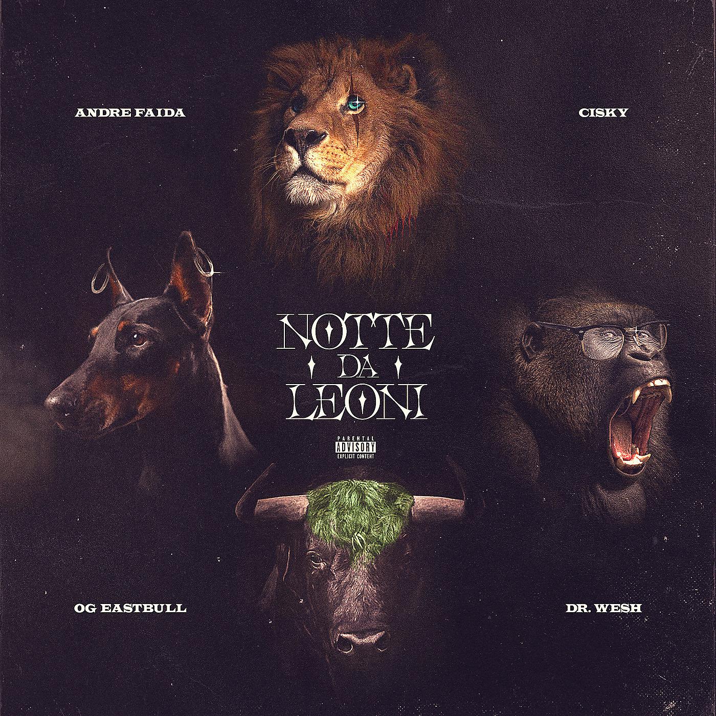 Постер альбома Notte da Leoni