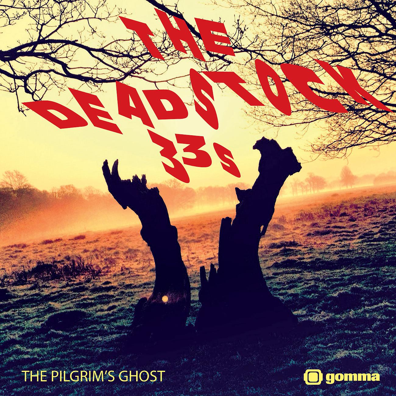Постер альбома The Pilgrim's Ghost