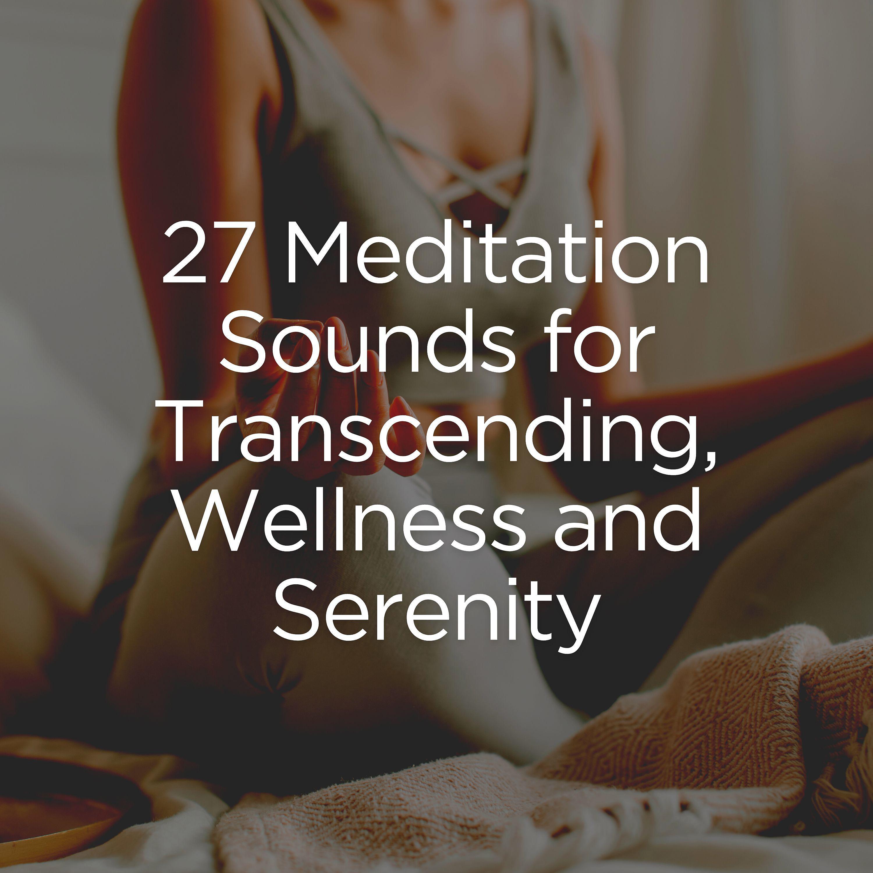 Постер альбома 27 Meditation Sounds for Transcending, Wellness and Serenity