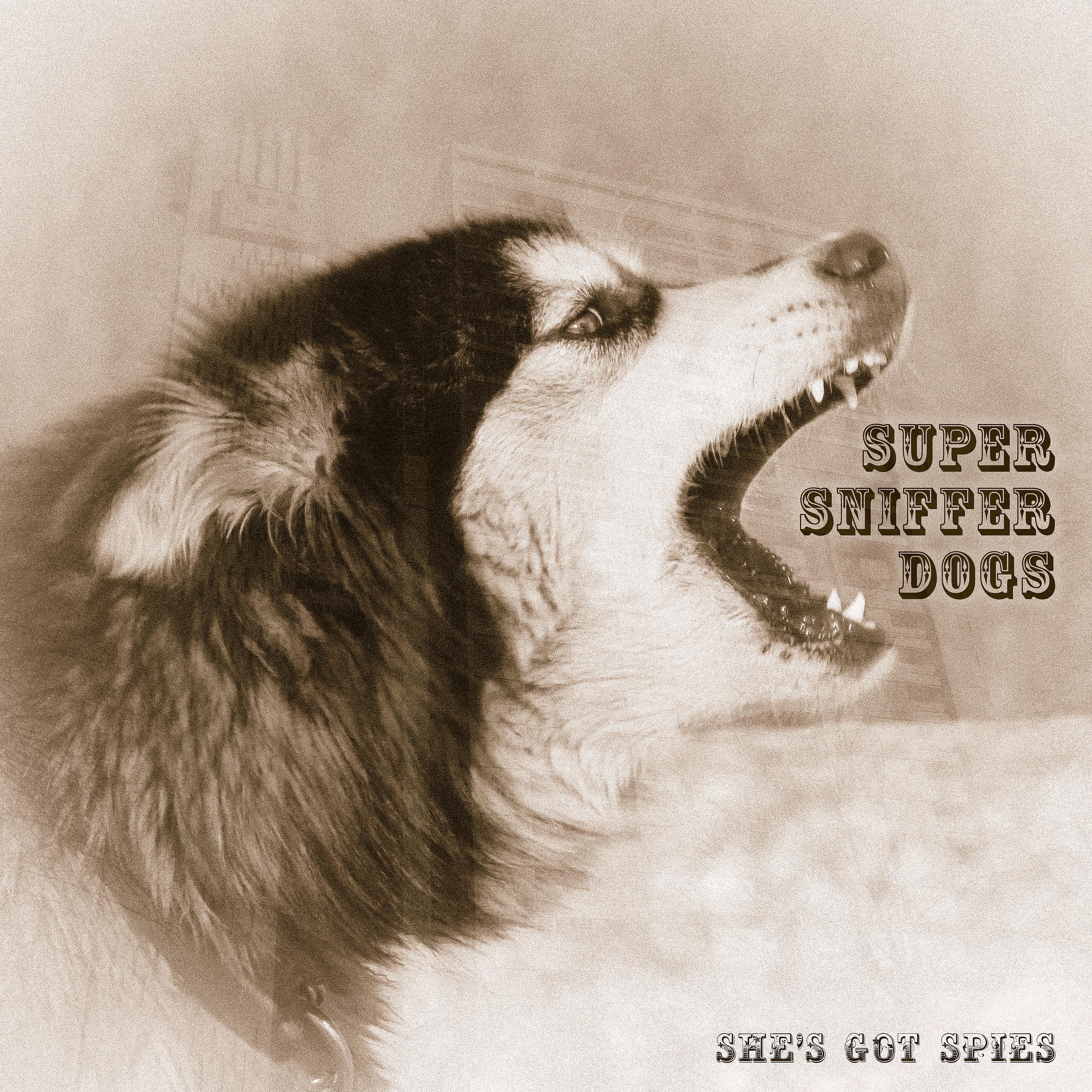 Постер альбома Super Sniffer Dogs