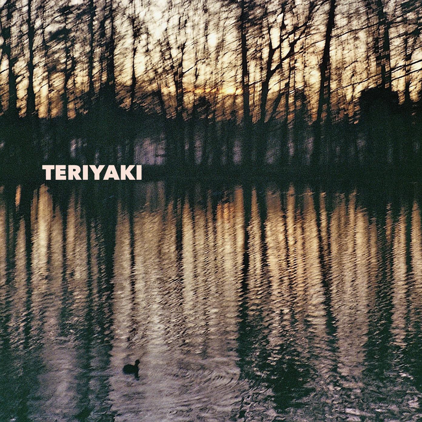 Постер альбома Teriyaki