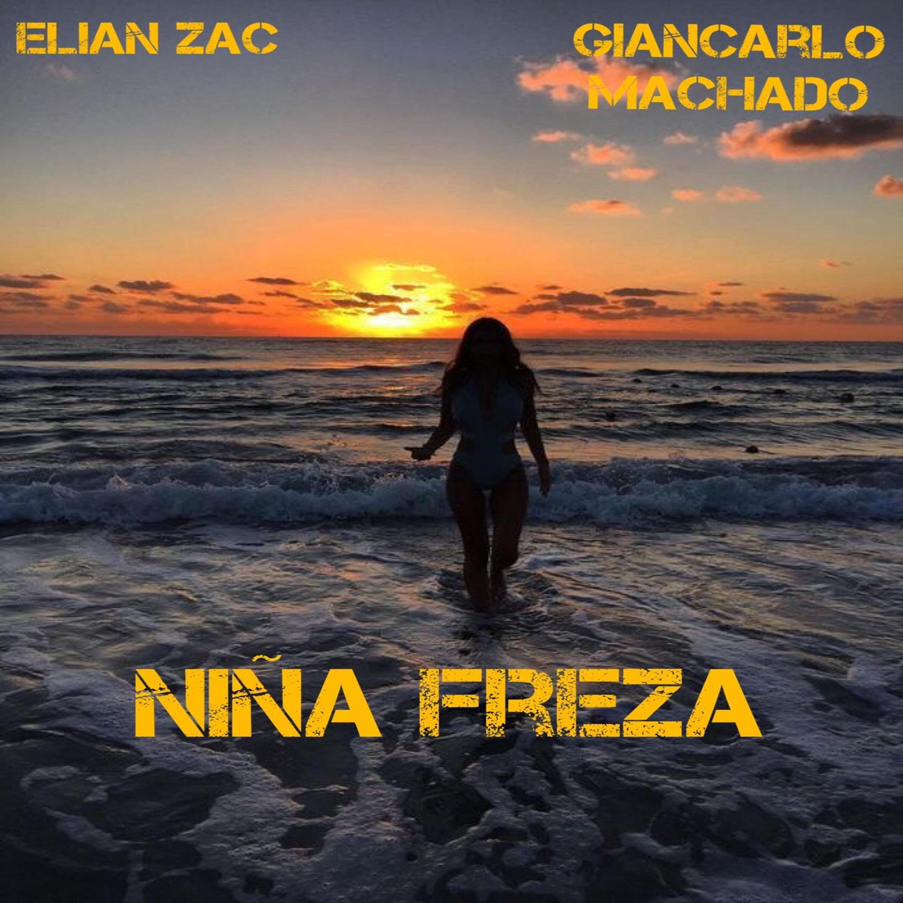 Постер альбома Niña Freza