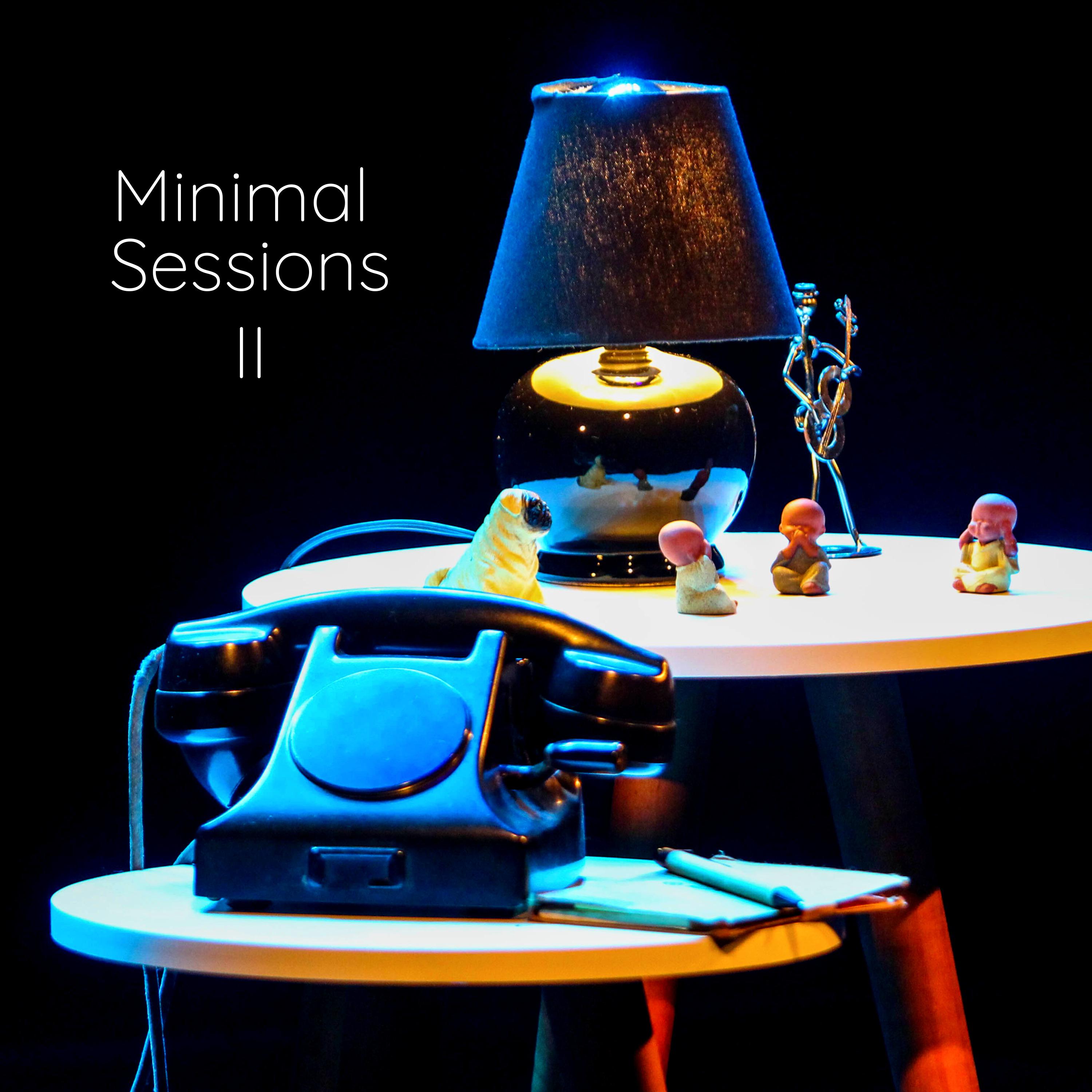 Постер альбома Minimal Sessions II