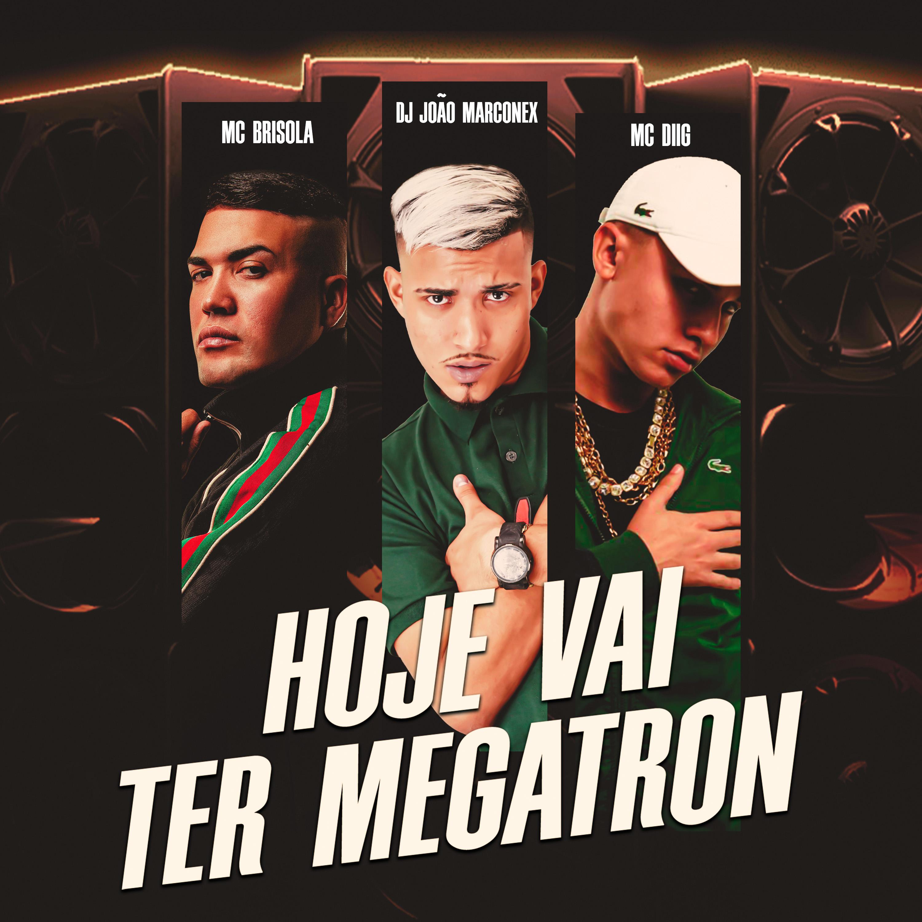 Постер альбома Hoje Vai Ter Megatron
