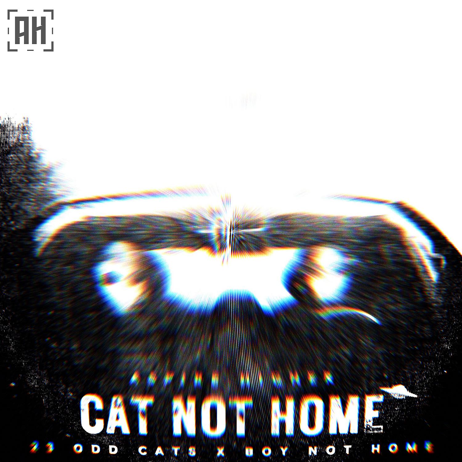 Постер альбома Cat Not Home