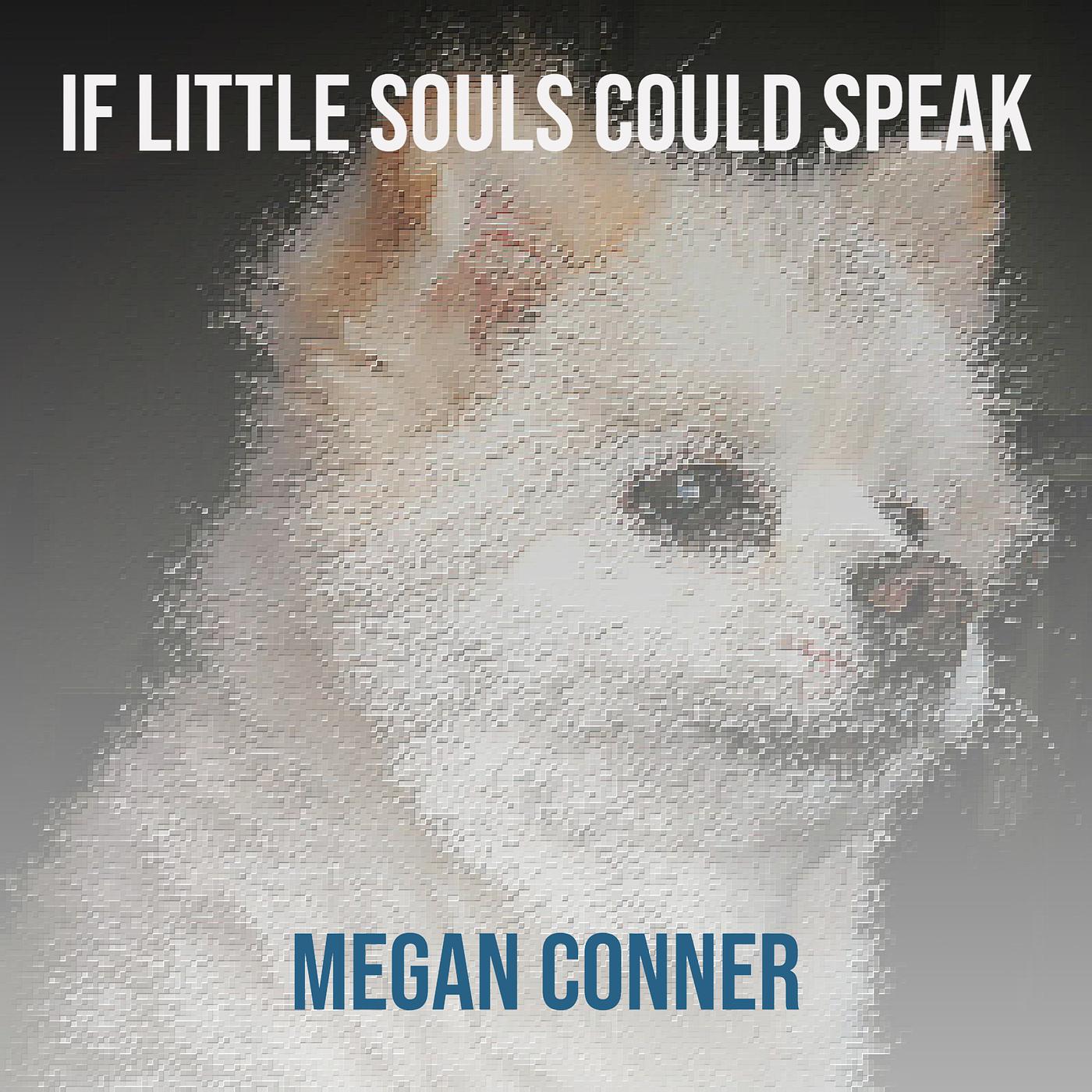 Постер альбома If Little Souls Could Speak