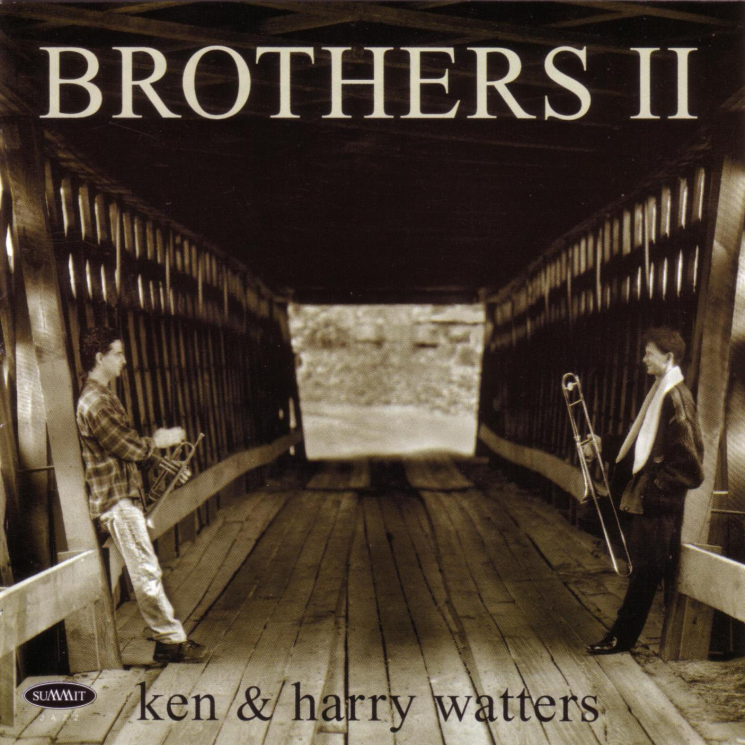 Постер альбома Brothers II