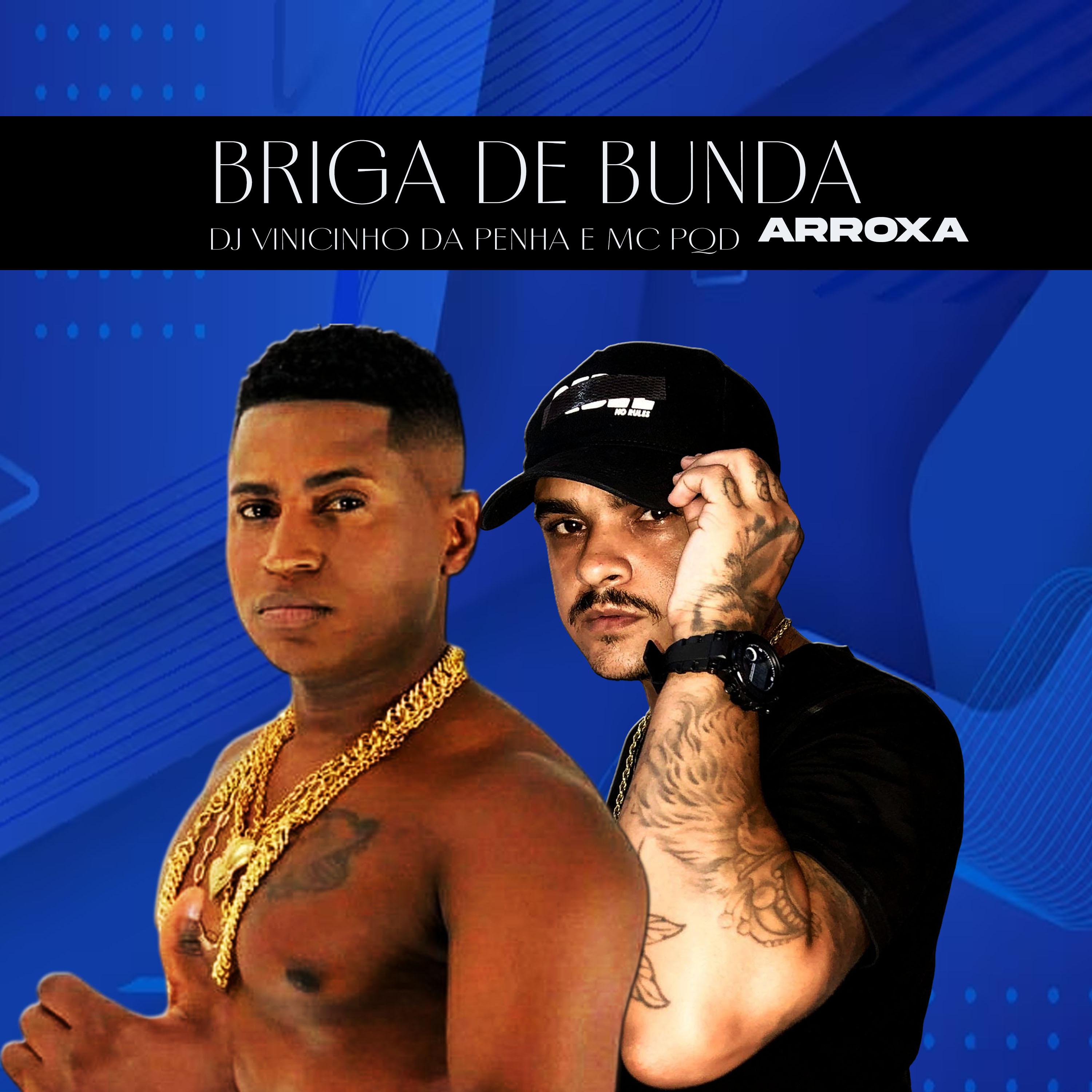 Постер альбома Briga de Bunda Arroxa