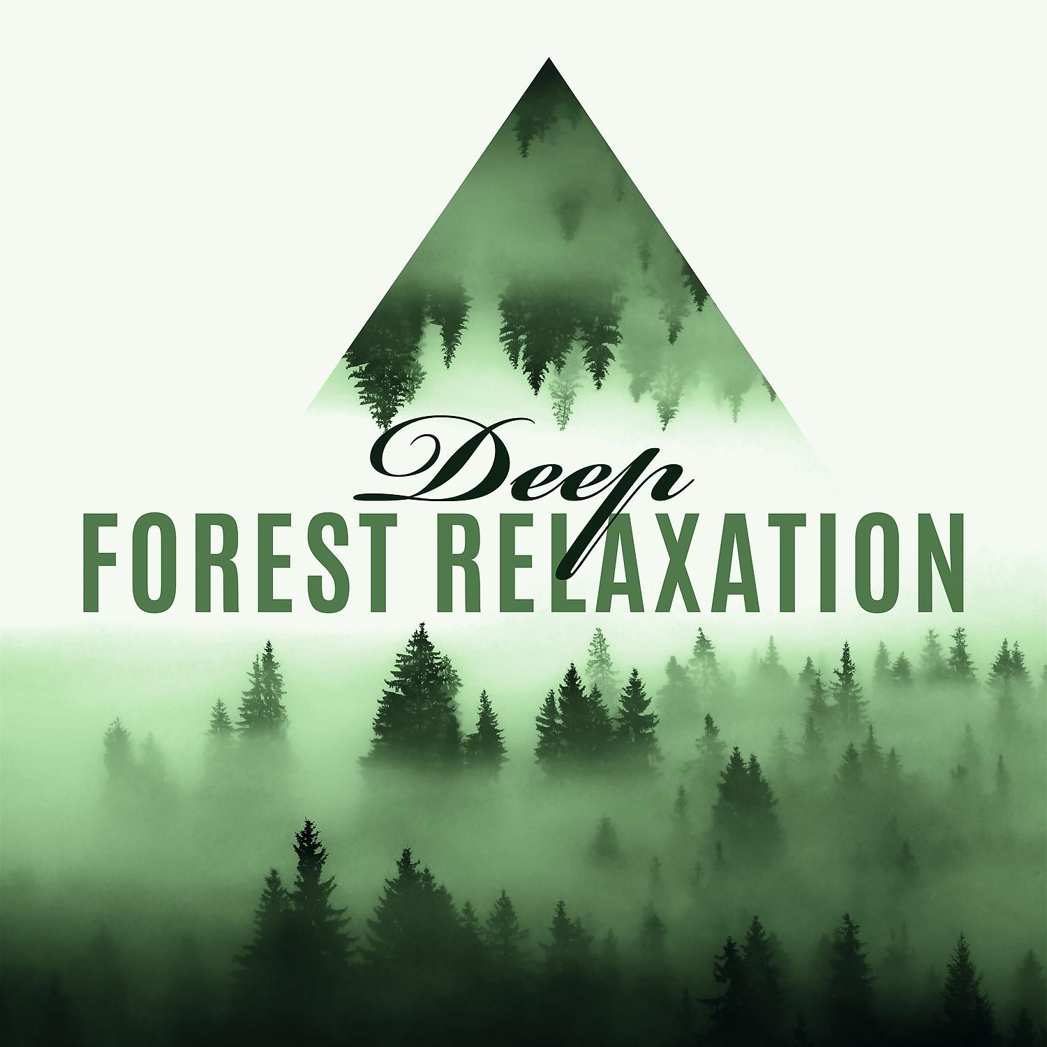 Постер альбома Deep Forest Relaxation: Instrumental Nature Sounds for Healing, Mindfulness & Harmony