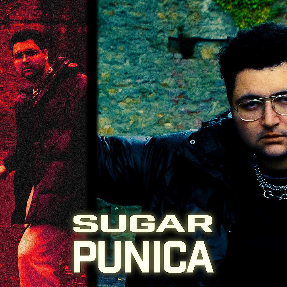 Постер альбома Punica