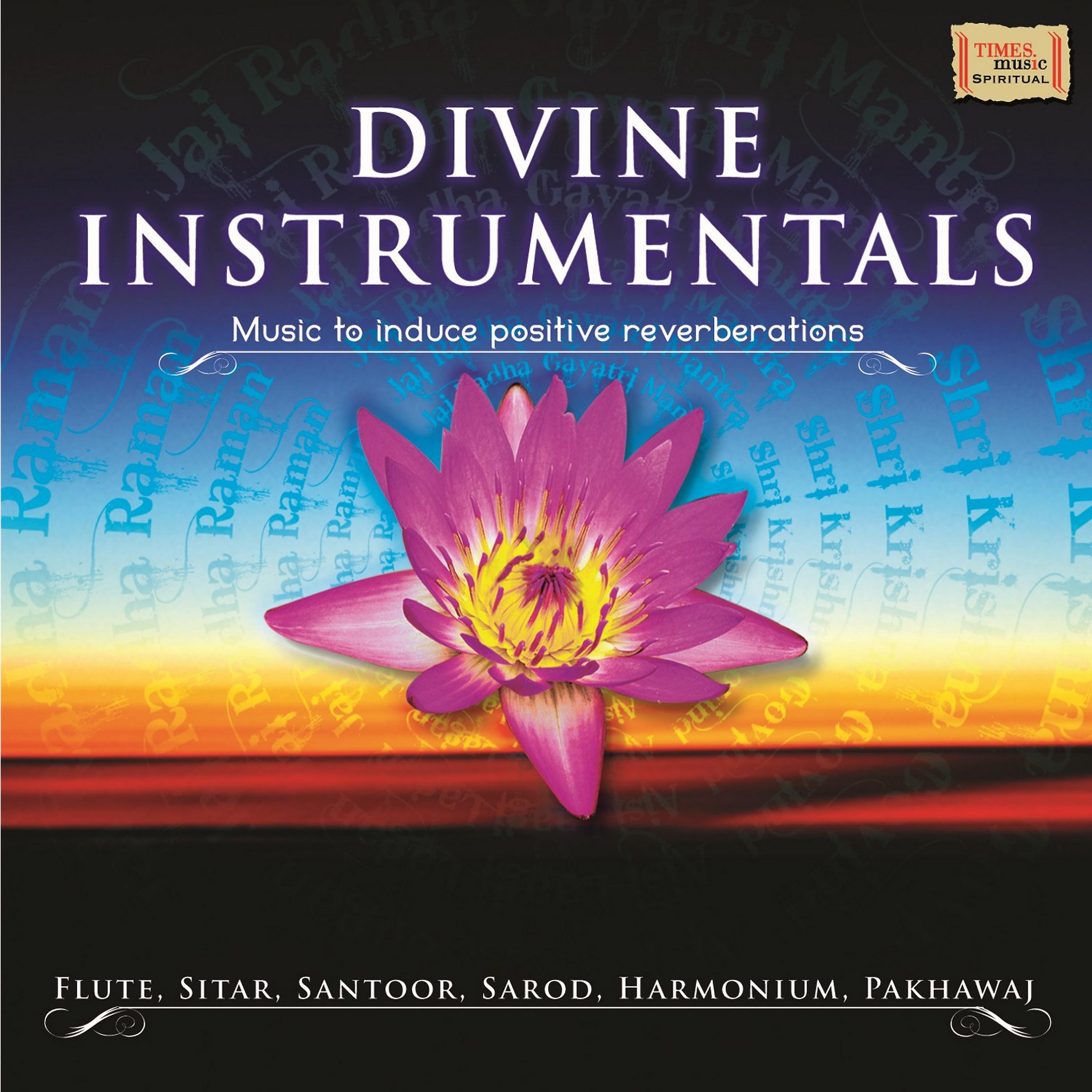 Постер альбома Divine Instrumentals