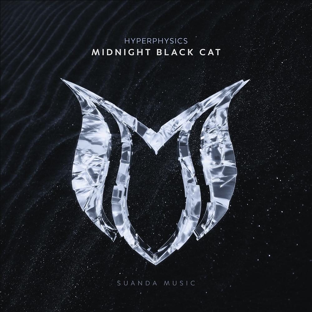 Постер альбома Midnight Black Cat