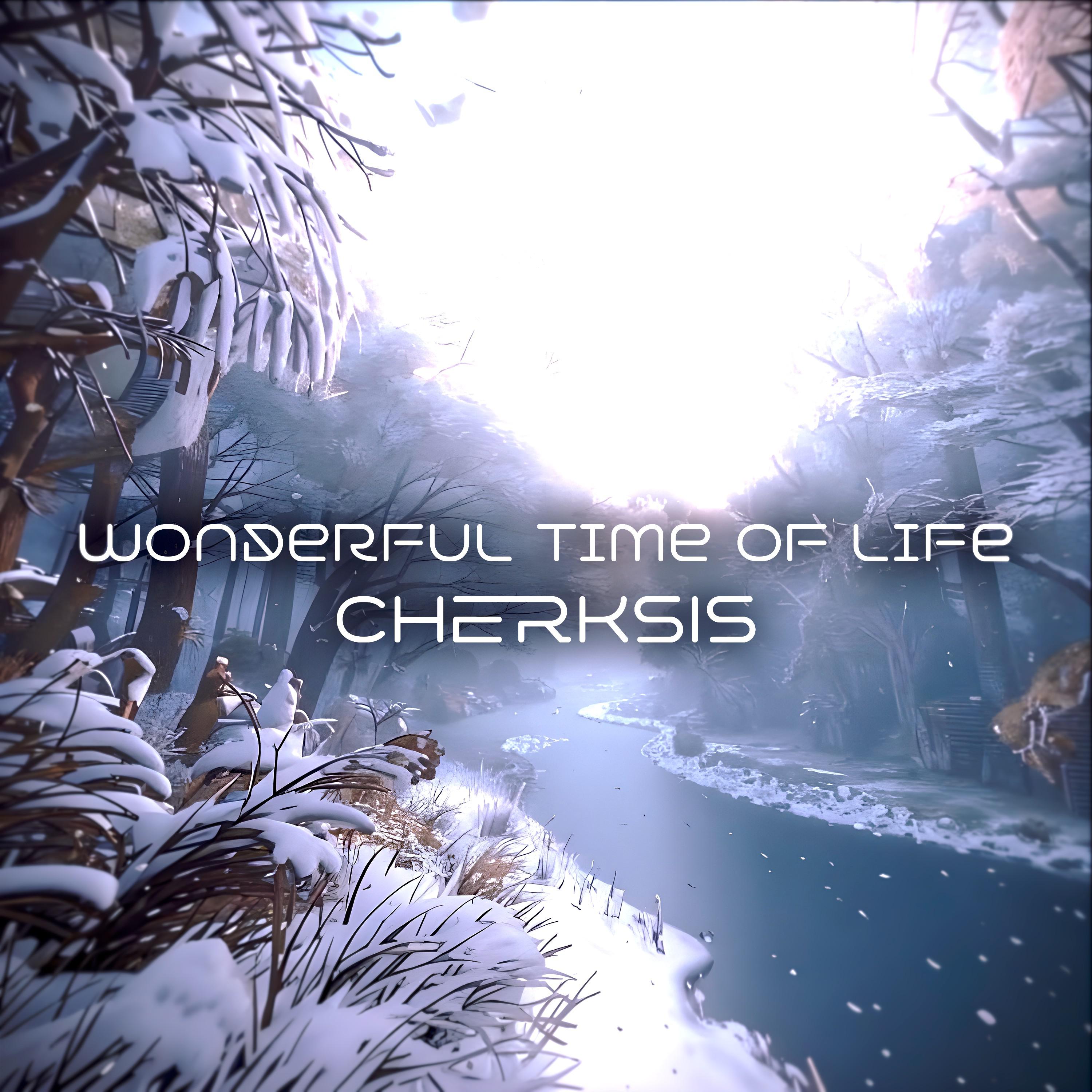 Постер альбома Wonderful time of life