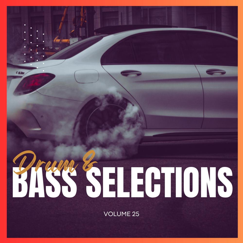 Постер альбома Drum & Bass Selections, Vol. 25