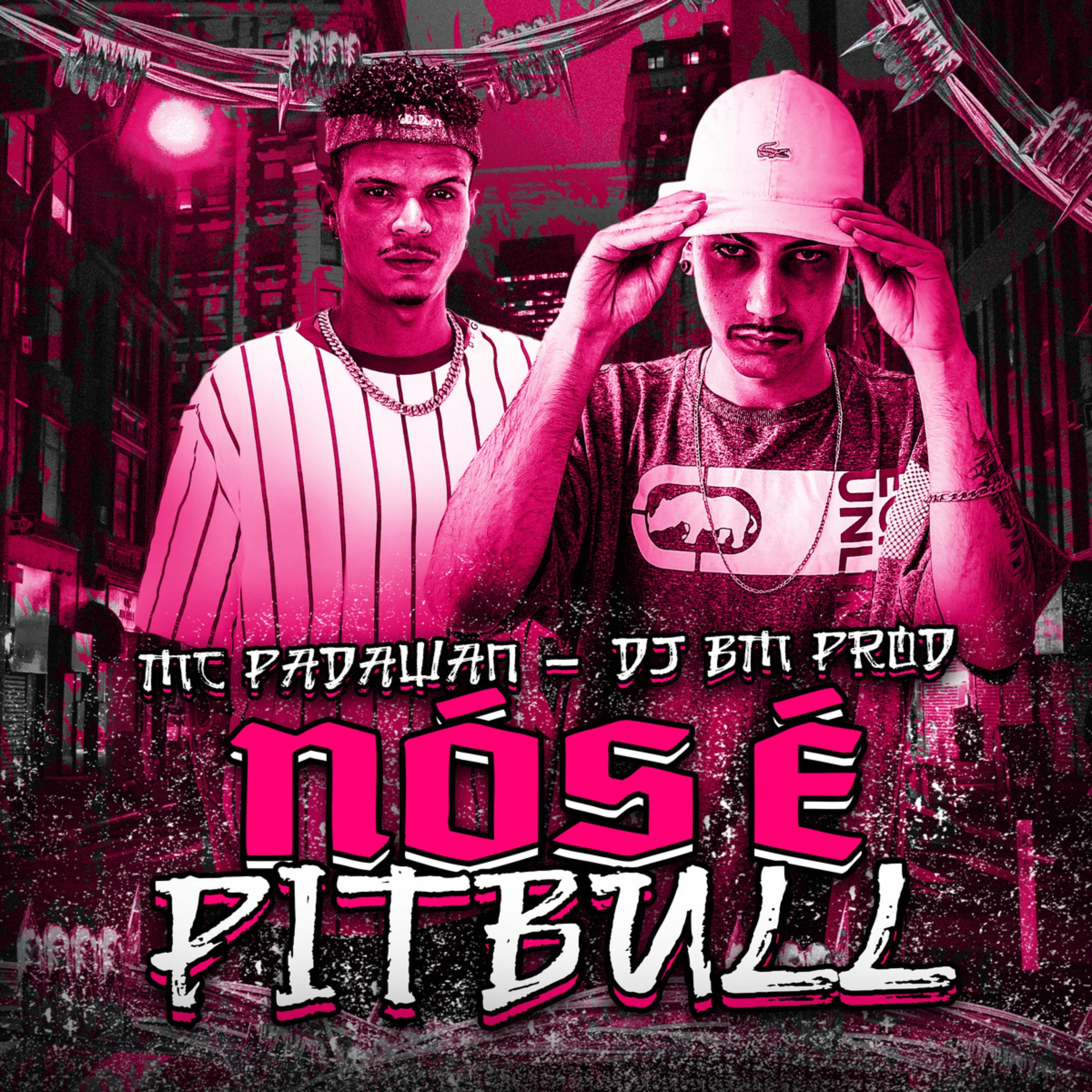 Постер альбома Nós É Pitbull