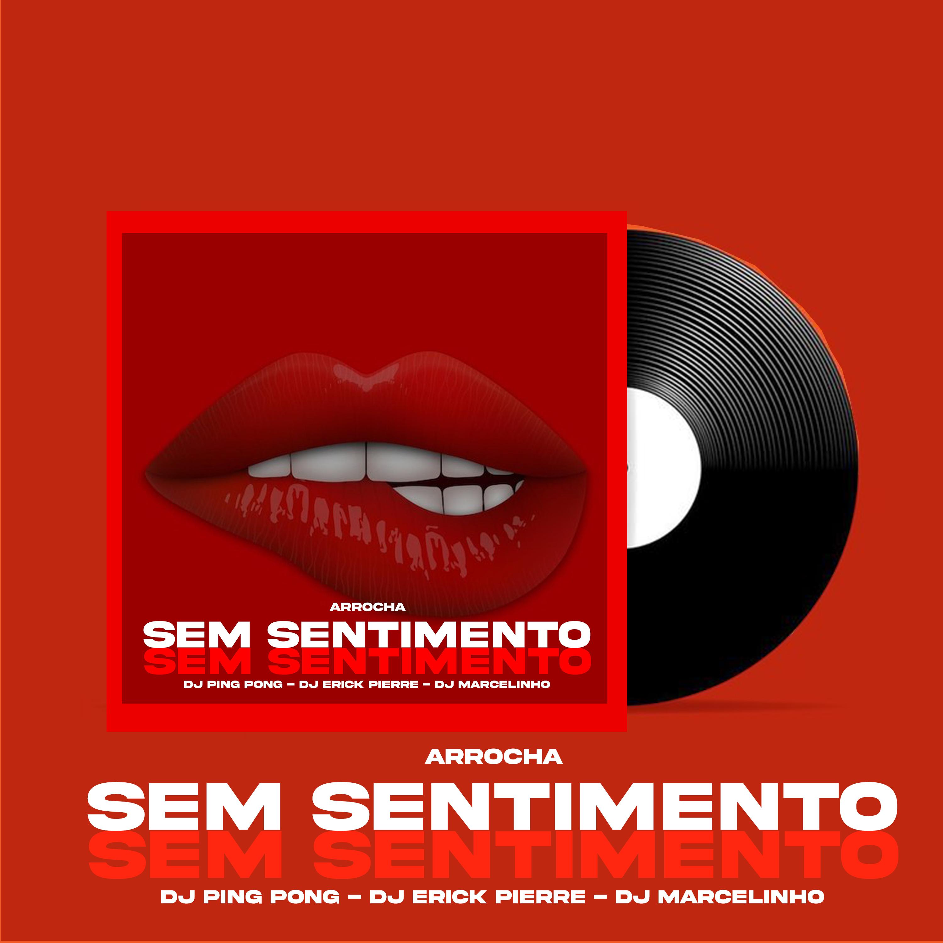 Постер альбома Arrocha Sem Sentimento