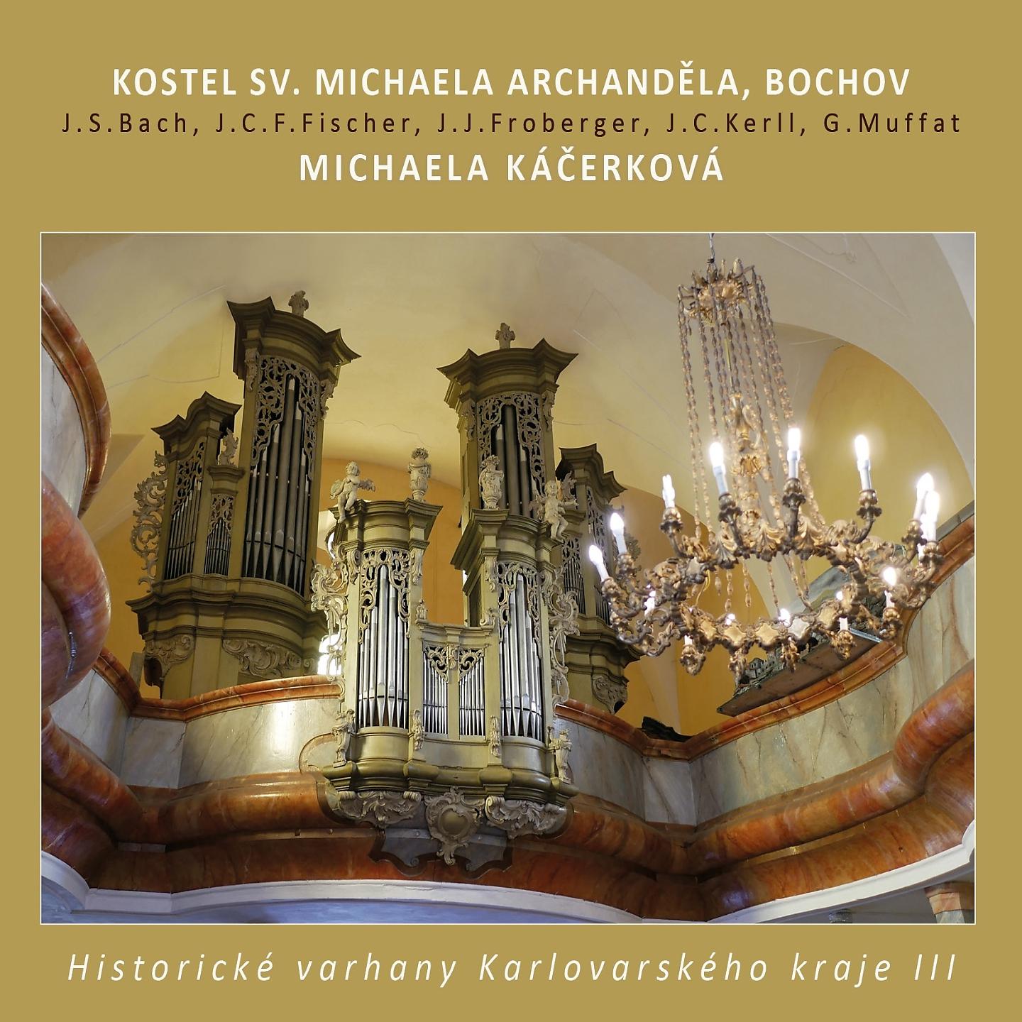 Постер альбома Historical Organ in Bochov