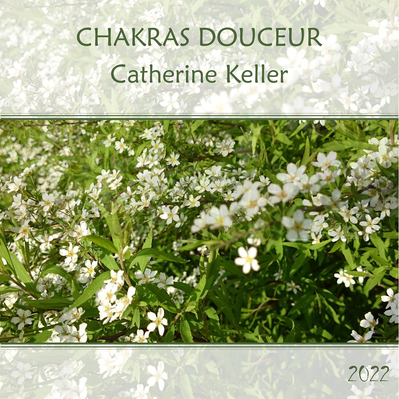 Постер альбома Chakras Douceur (2022)