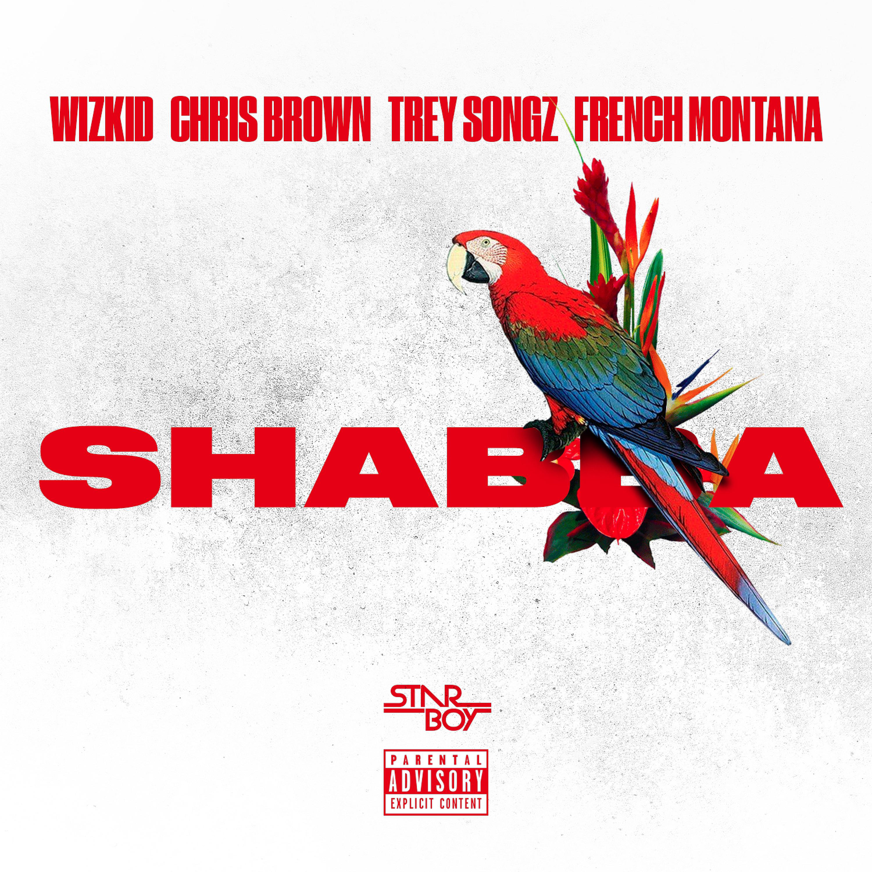 Постер альбома Shabba (feat. Chris Brown, Trey Songz & French Montana) - Single