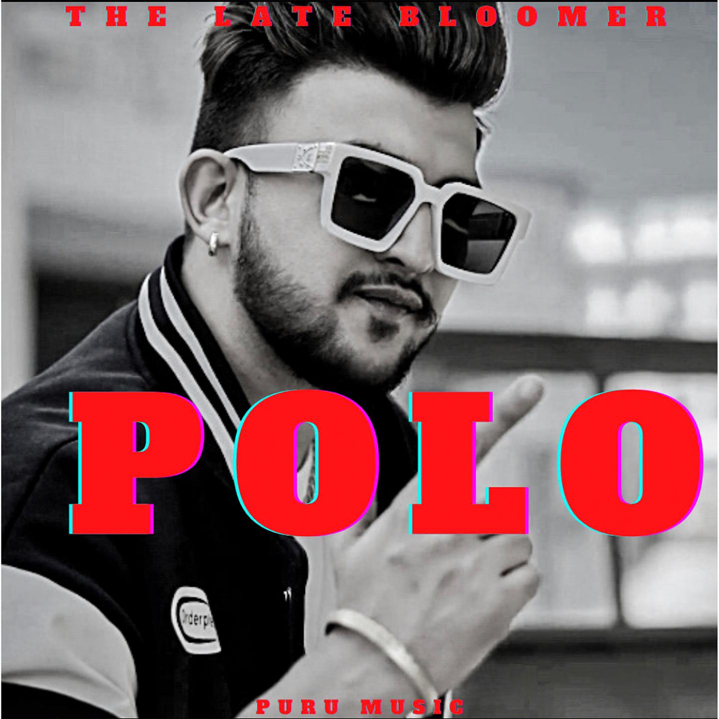Постер альбома Polo