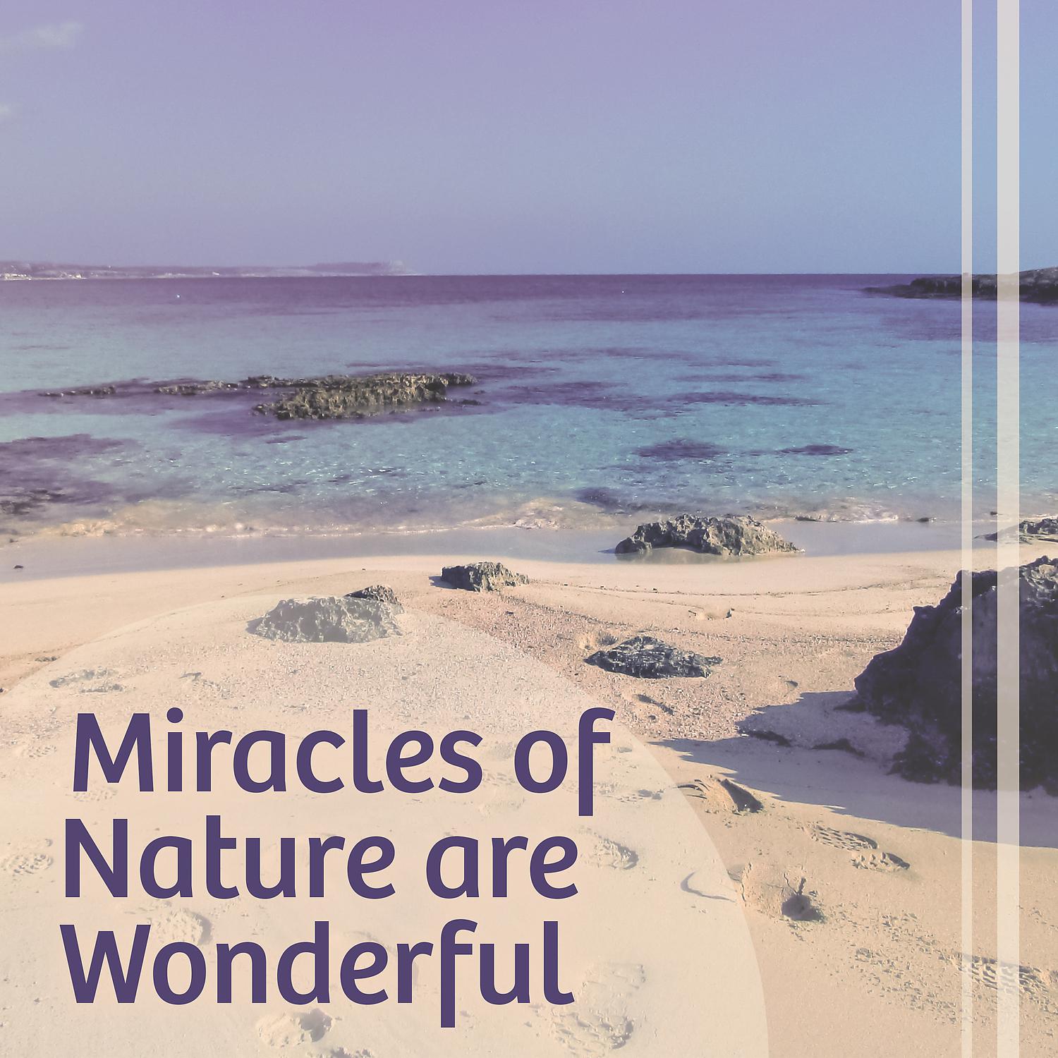 Постер альбома Miracles of Nature are Wonderful - Natural Sounds, Breath of Wind, Rhythm of Life, Murmur of Freshness Water, Energy from the Earth