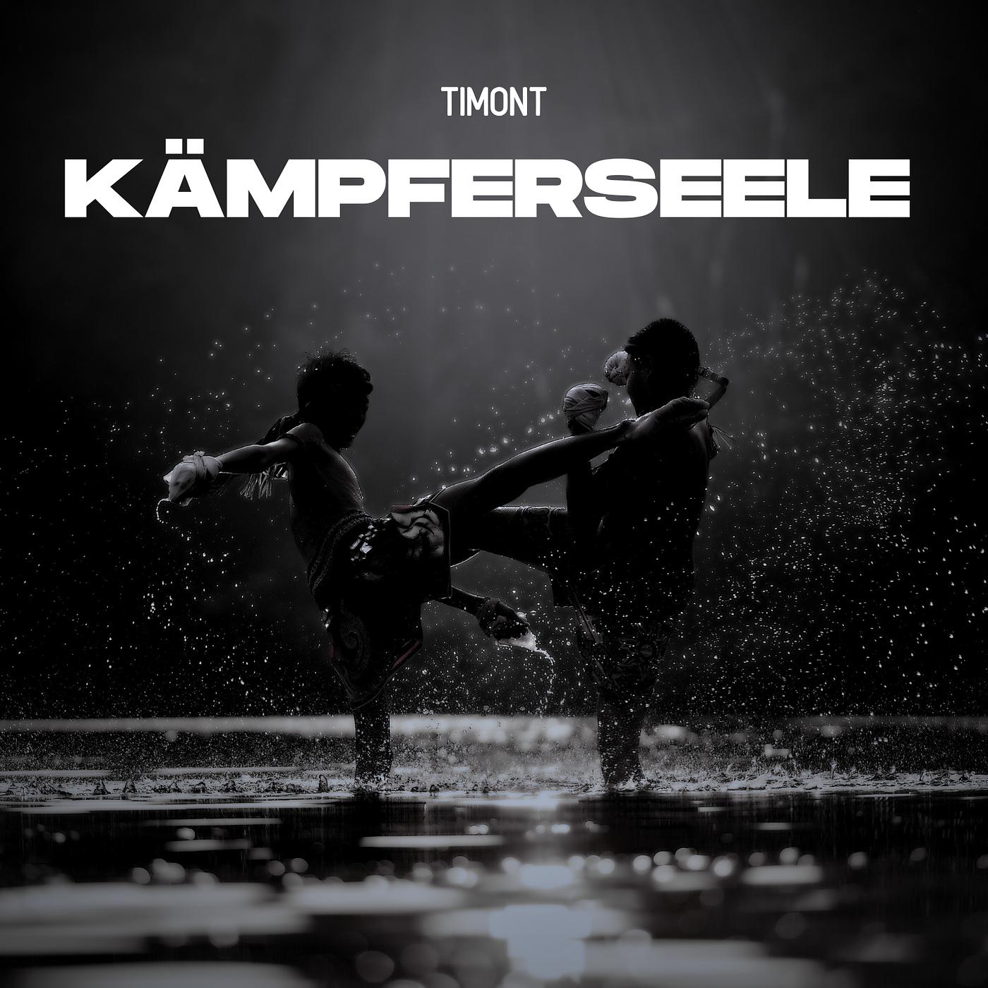 Постер альбома Kämpferseele