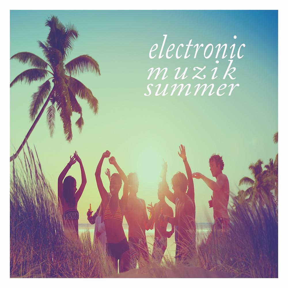 Постер альбома Electronic Muzik Summer