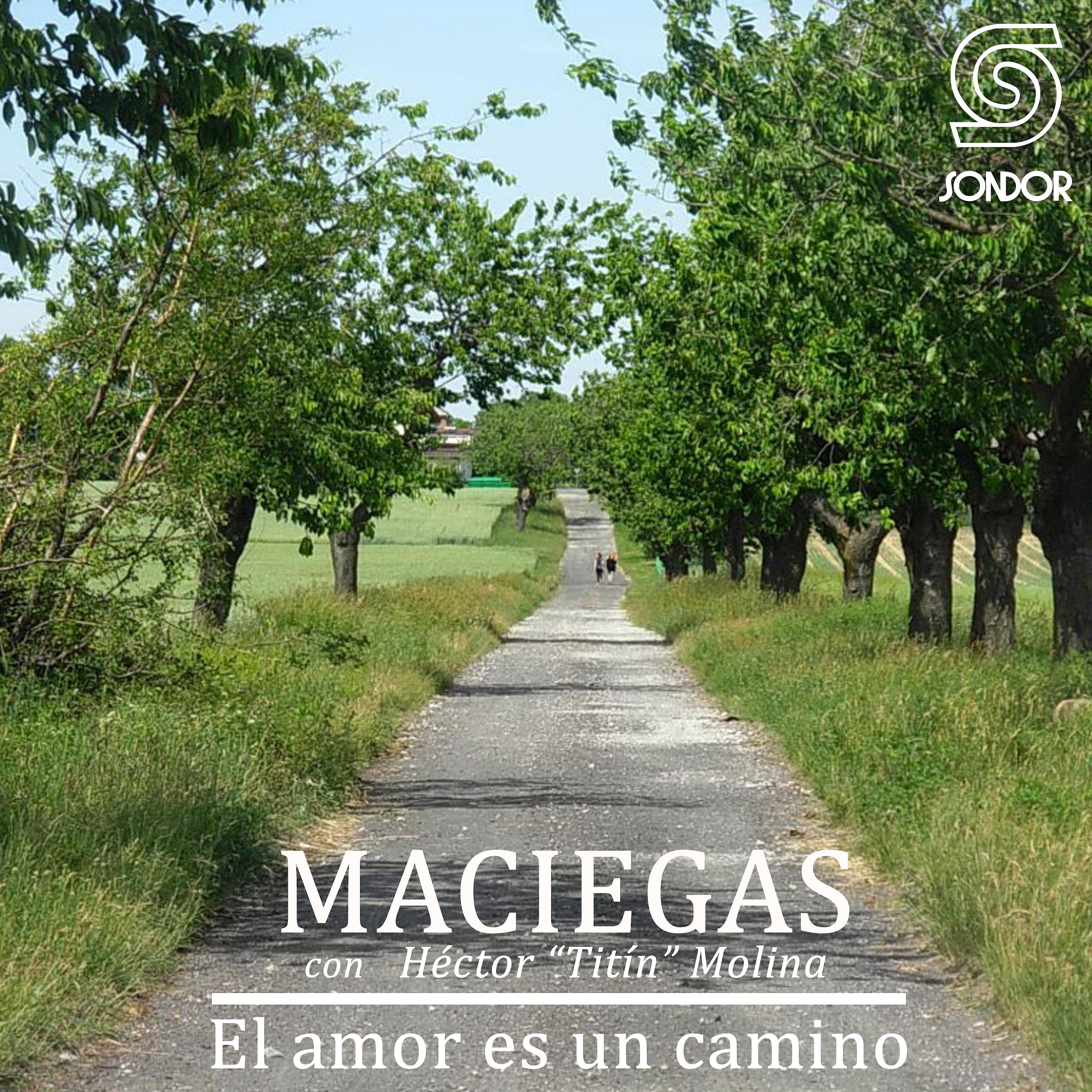 Постер альбома El Amor Es un Camino