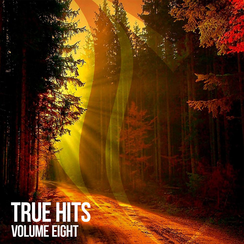 Постер альбома True Hits, Vol. 8
