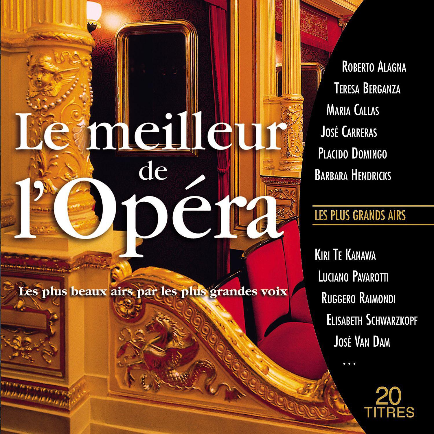 Постер альбома Le meilleur de l'opéra