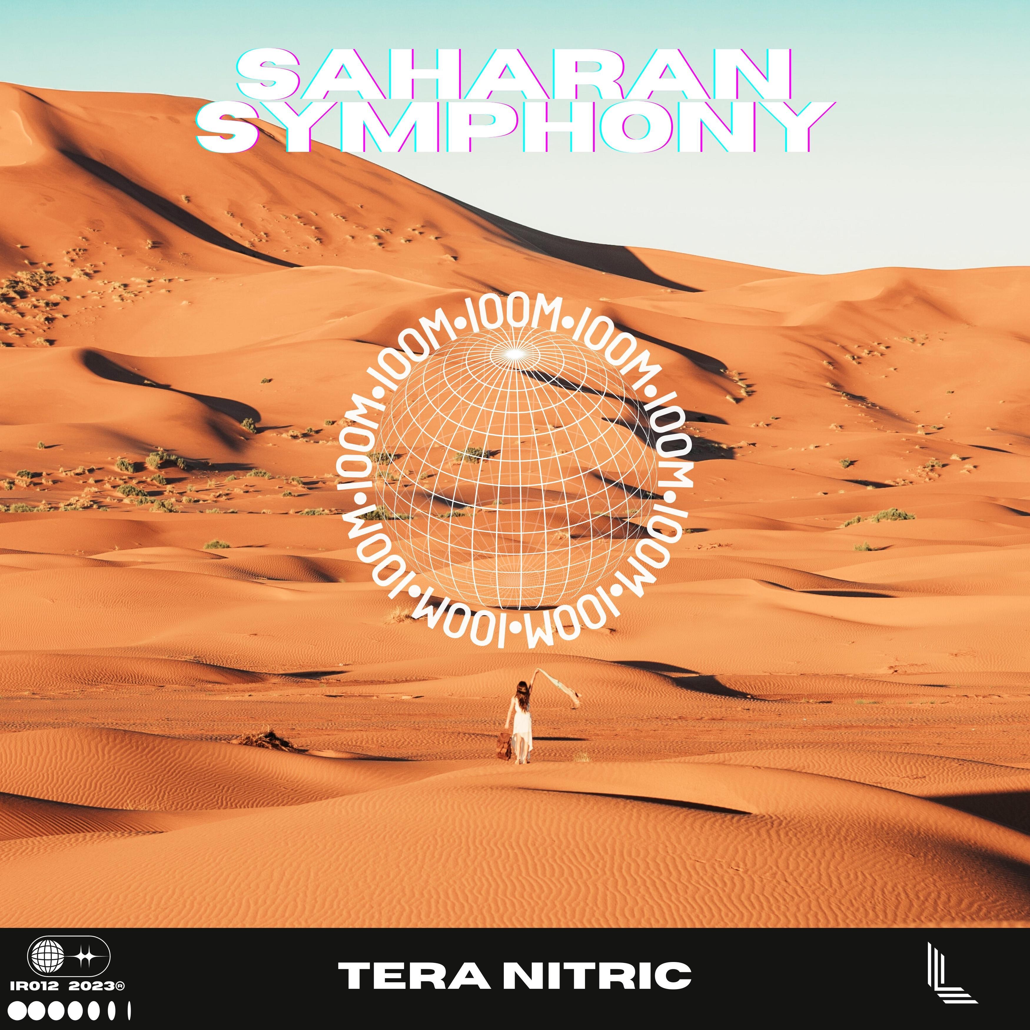 Постер альбома Saharan Symphony