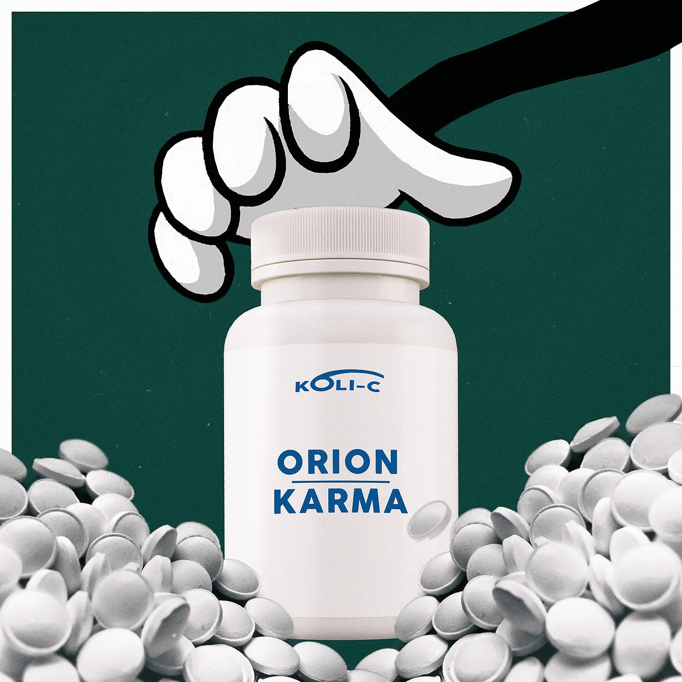 Постер альбома Orion Karma