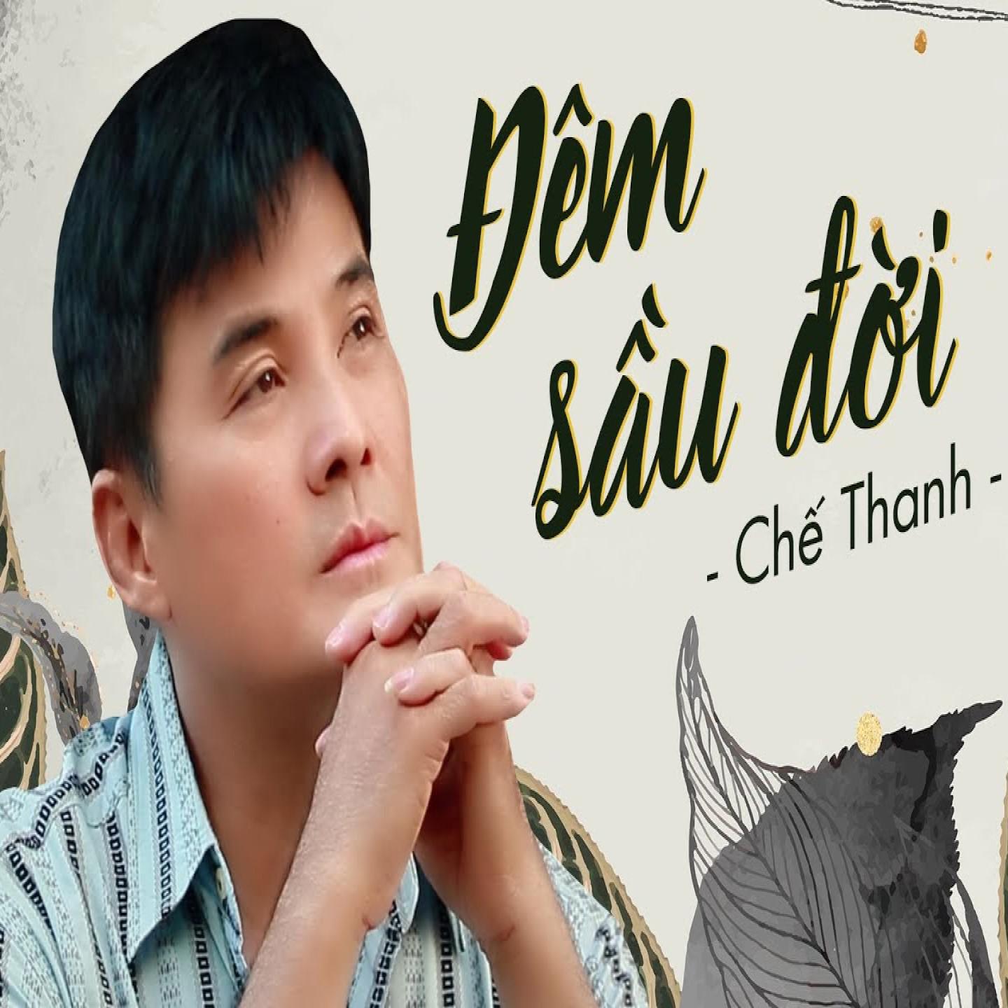 Постер альбома Đêm Sầu Đời