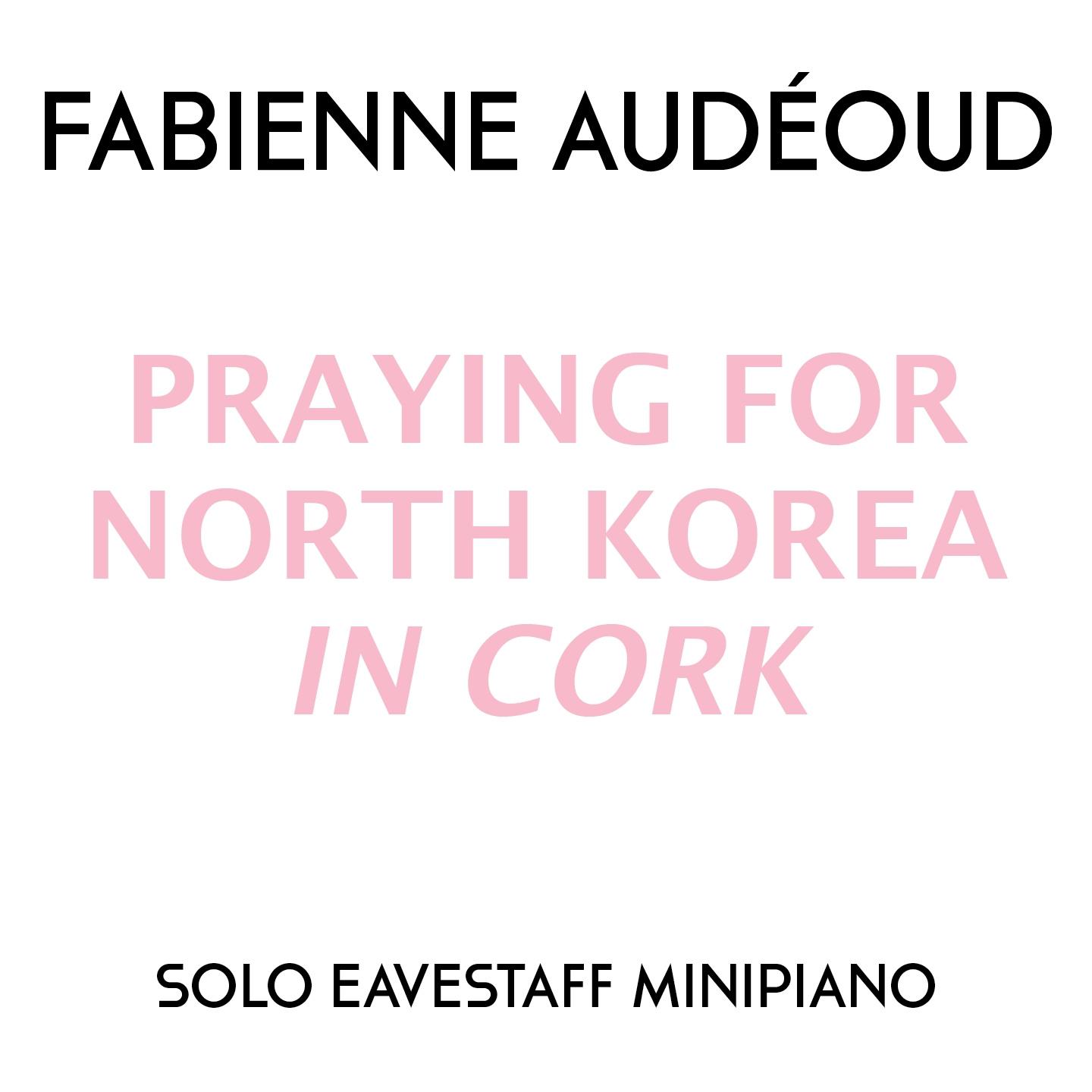 Постер альбома Praying for North Korea in Cork