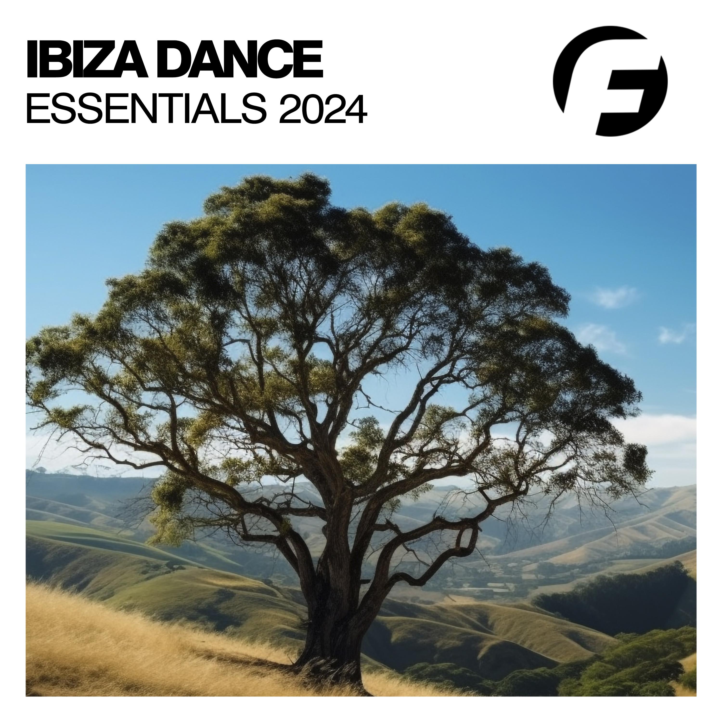 Постер альбома Ibiza Dance Essentials 2024