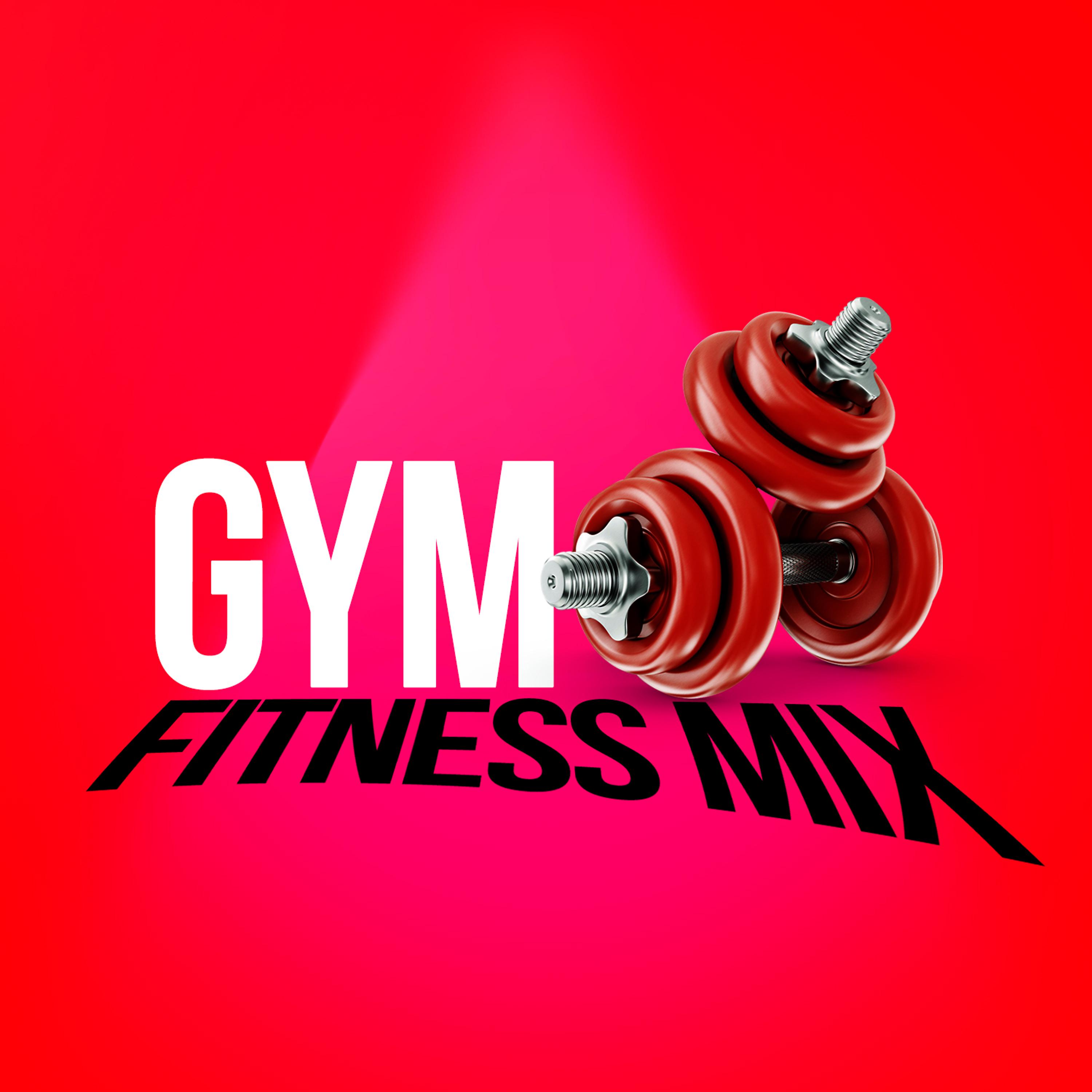 Постер альбома Gym Fitness Mix