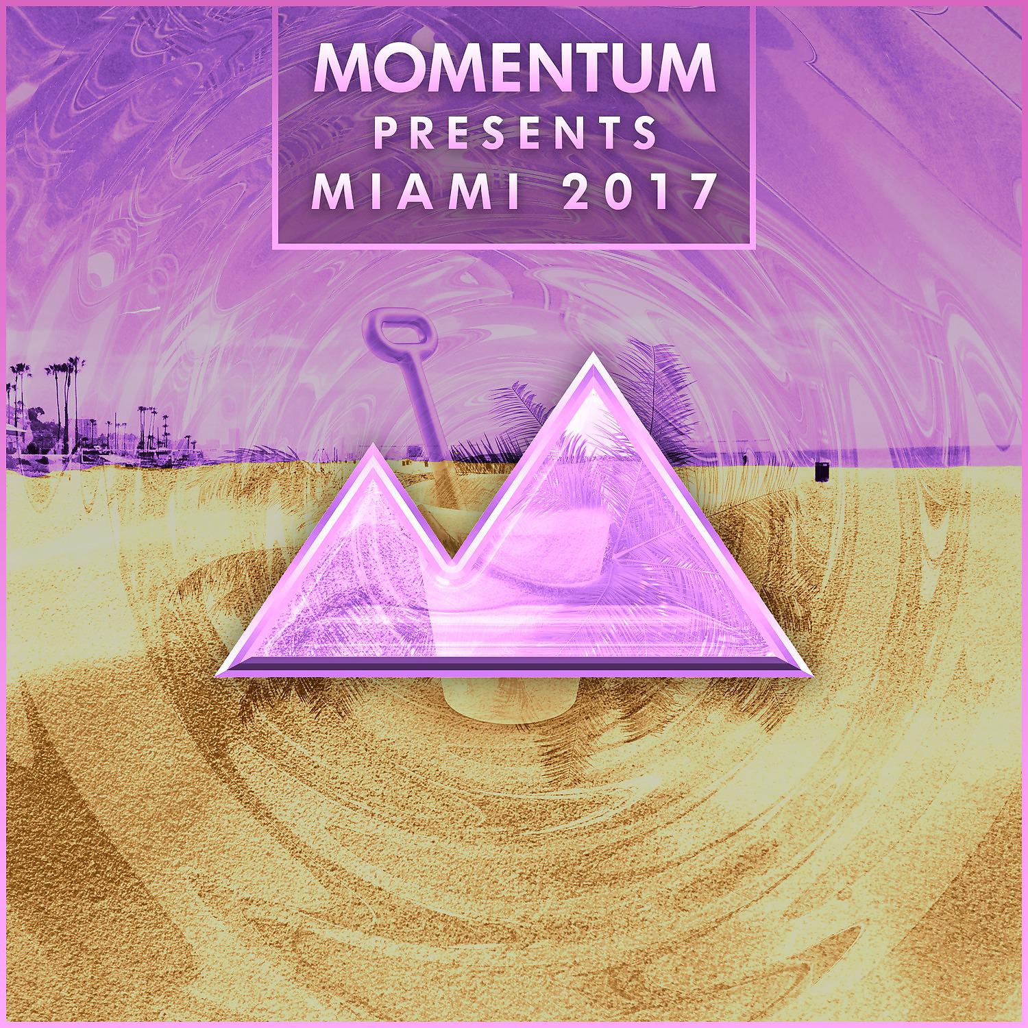 Постер альбома Momentum Presents Miami 2017