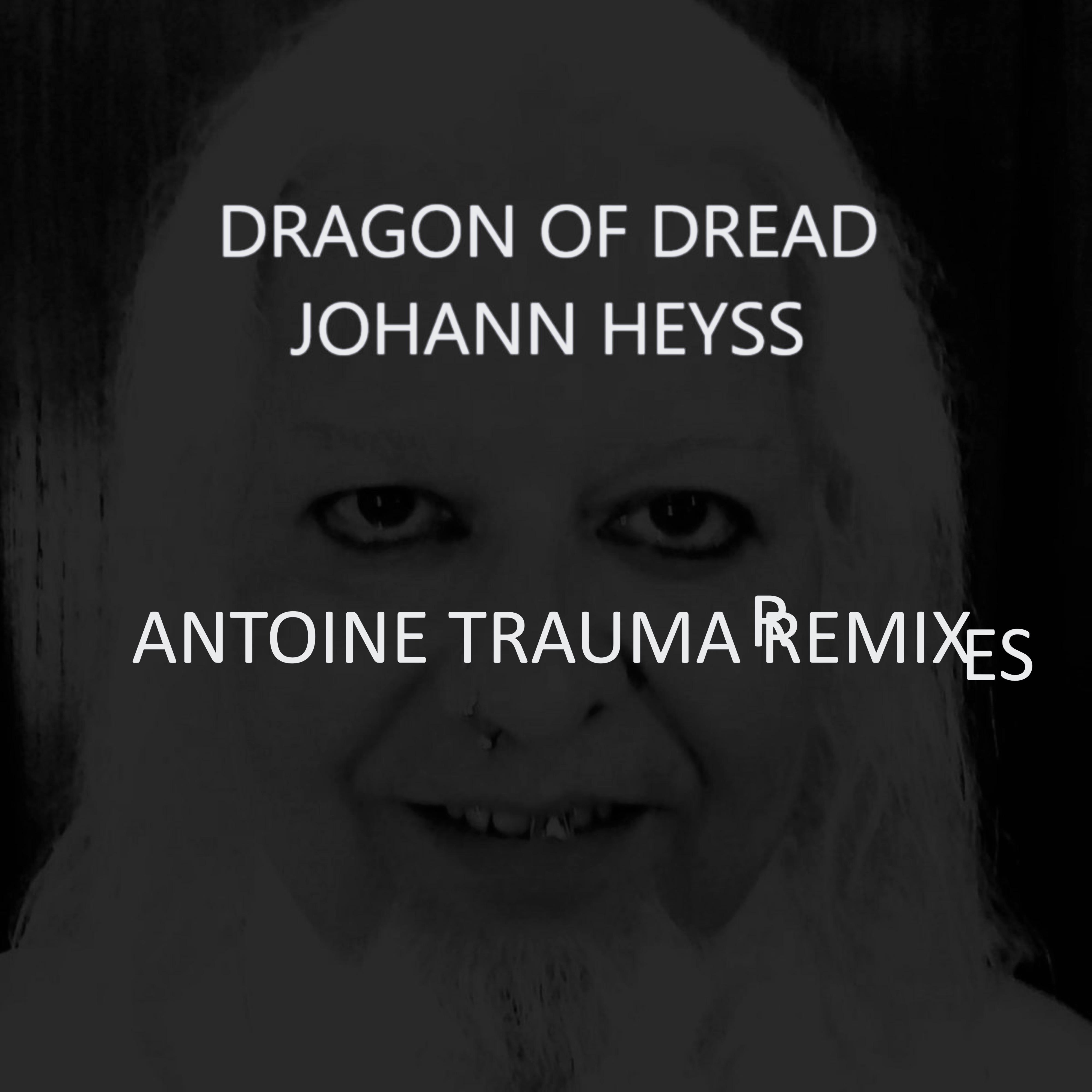 Постер альбома Dragon of Dread - Antoine Trauma Remixes