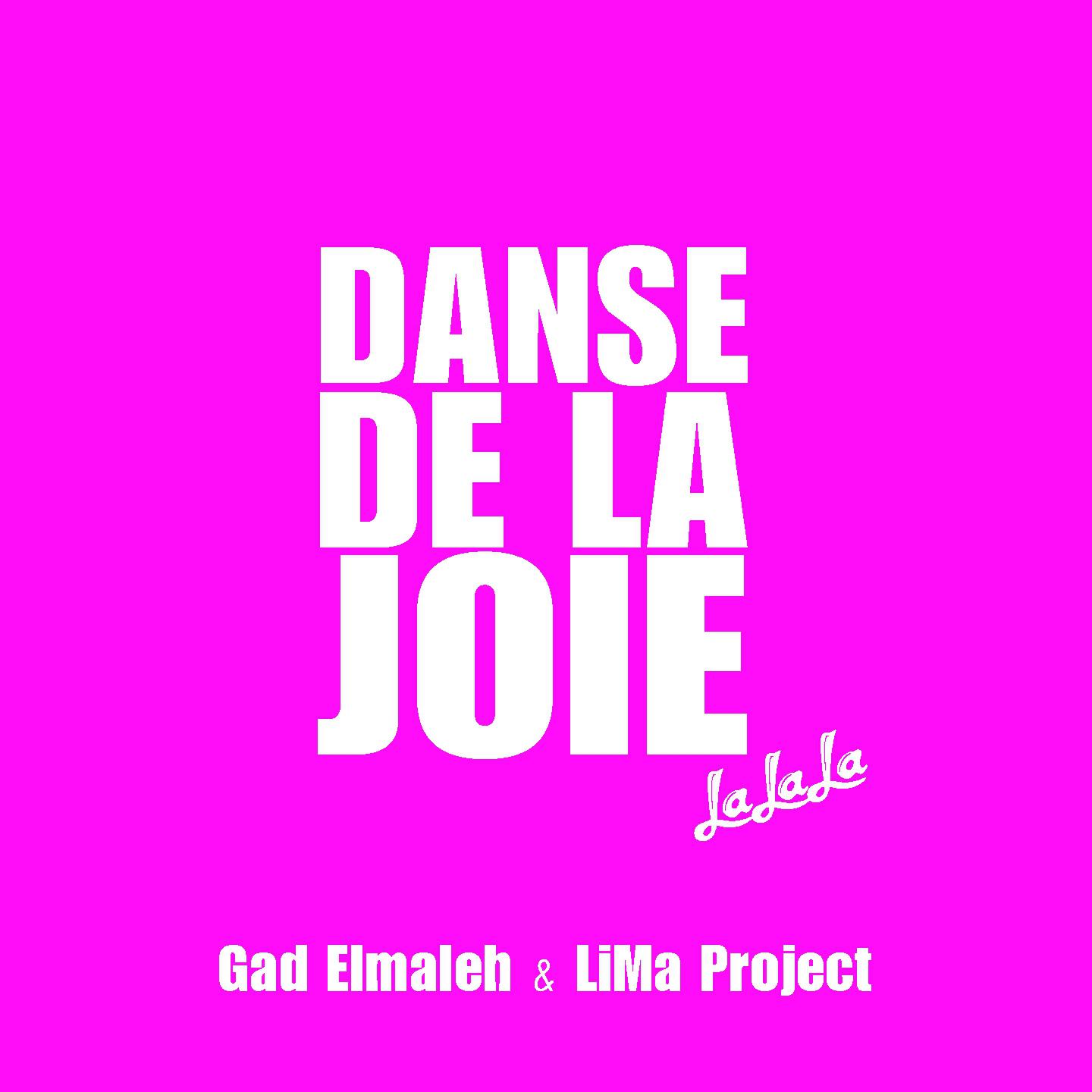 Постер альбома Danse de la joie